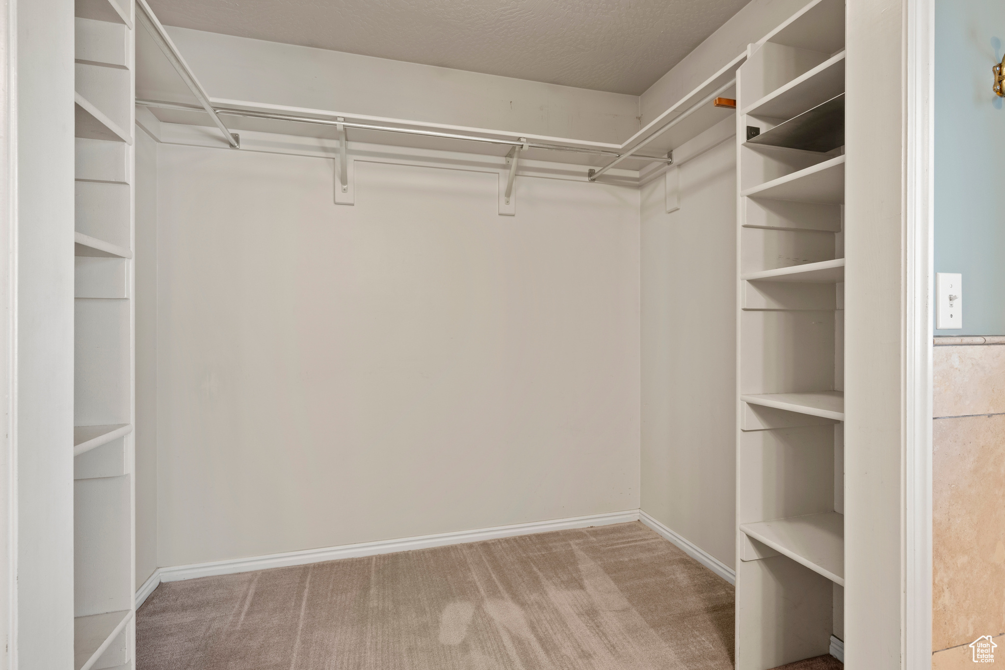 Spacious closet in the primary bedroom featuring light carpet