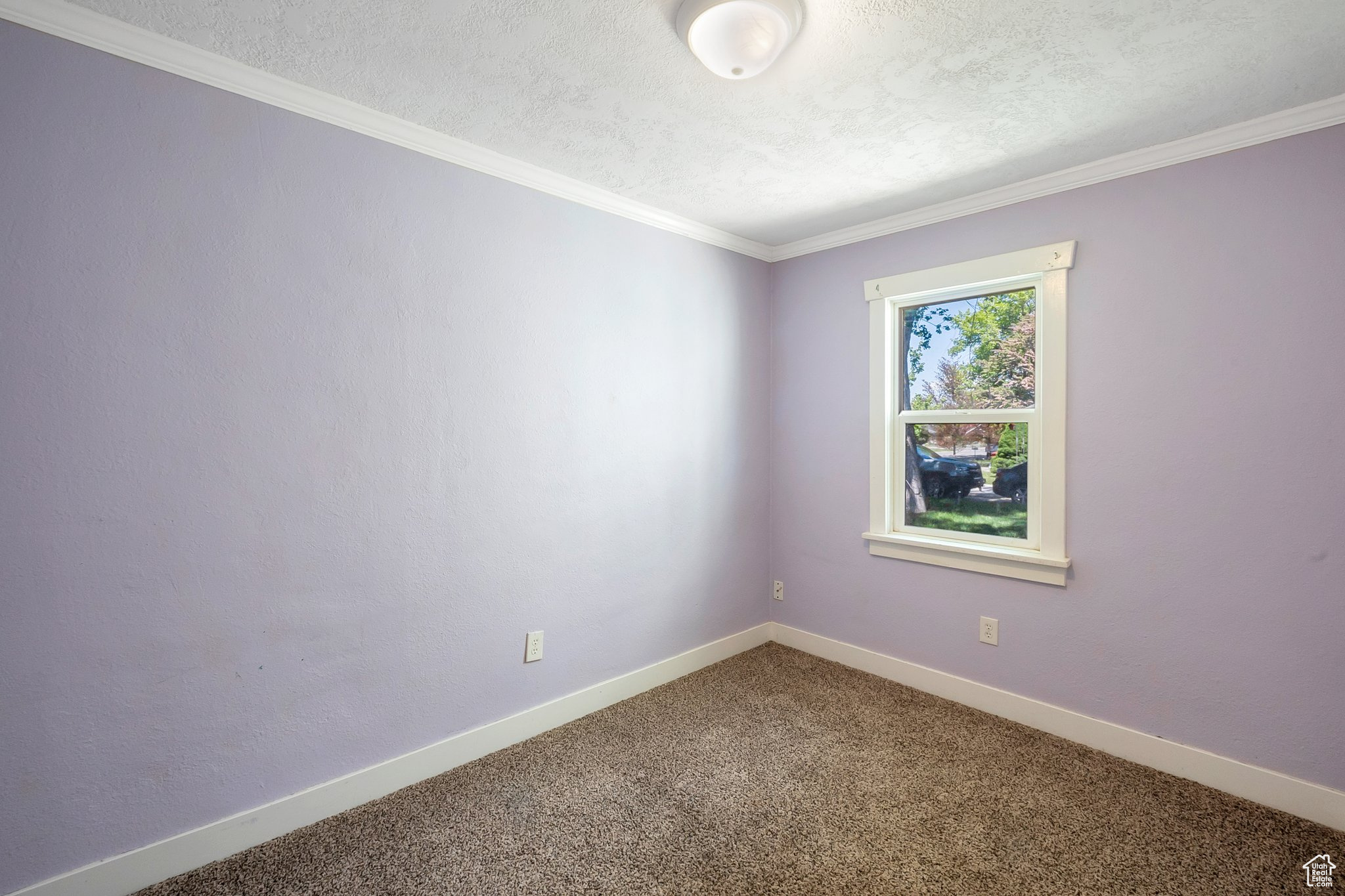Carpeted spare room featuring crown molding and a textured ceiling