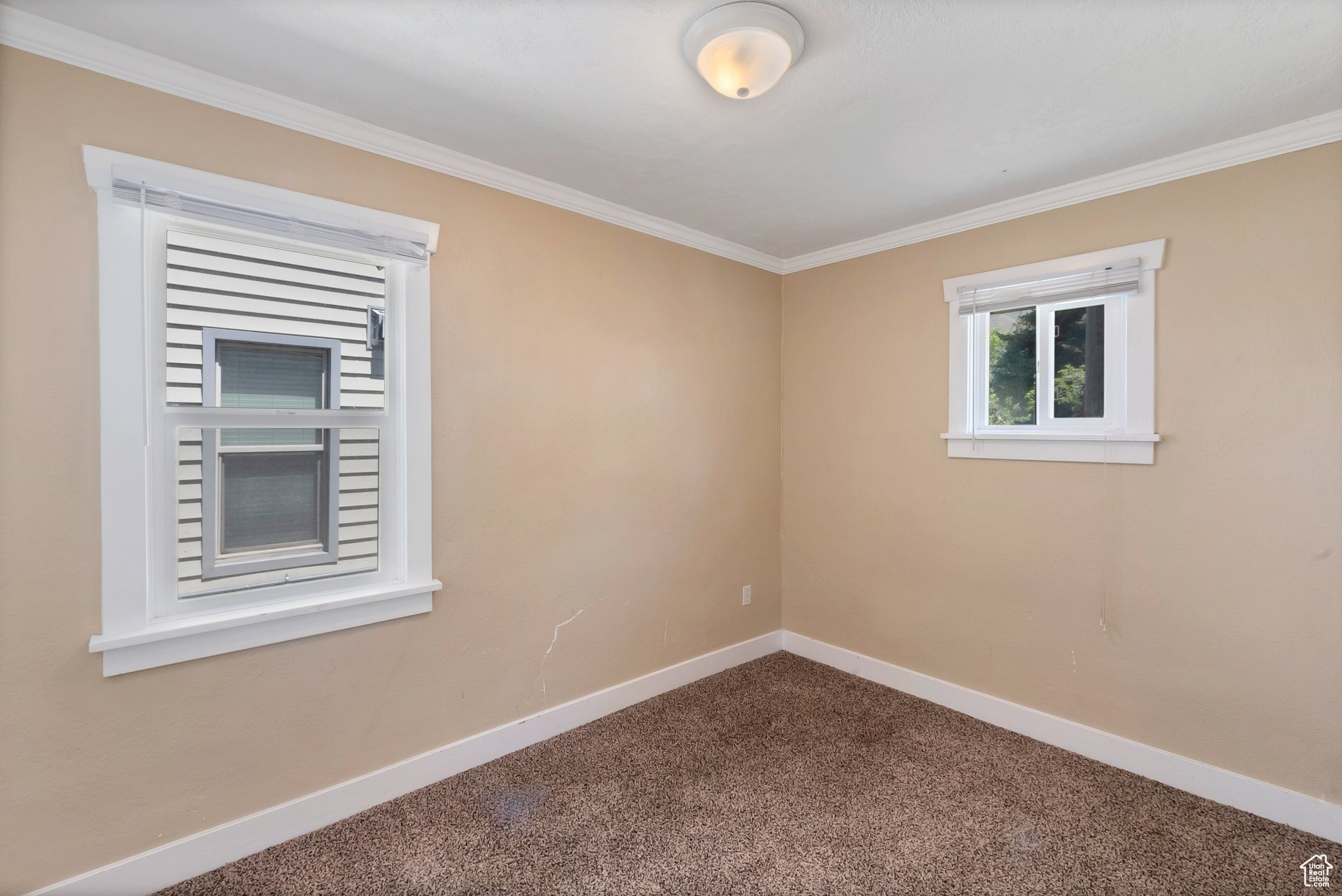 Spare room with ornamental molding and carpet flooring