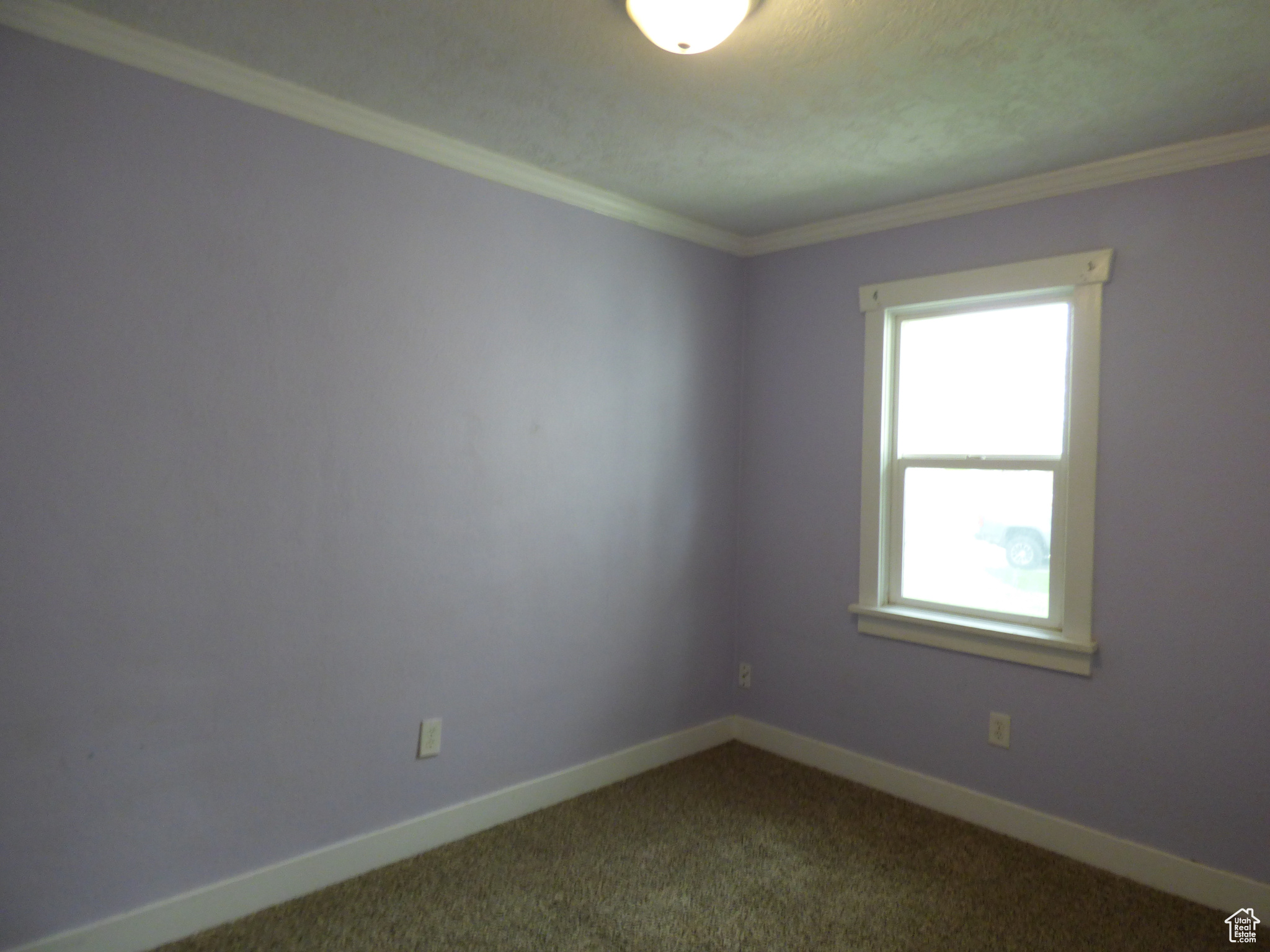 Unfurnished room with ornamental molding, plenty of natural light, and carpet