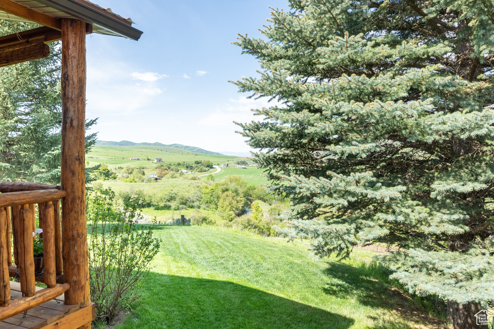 view from porch