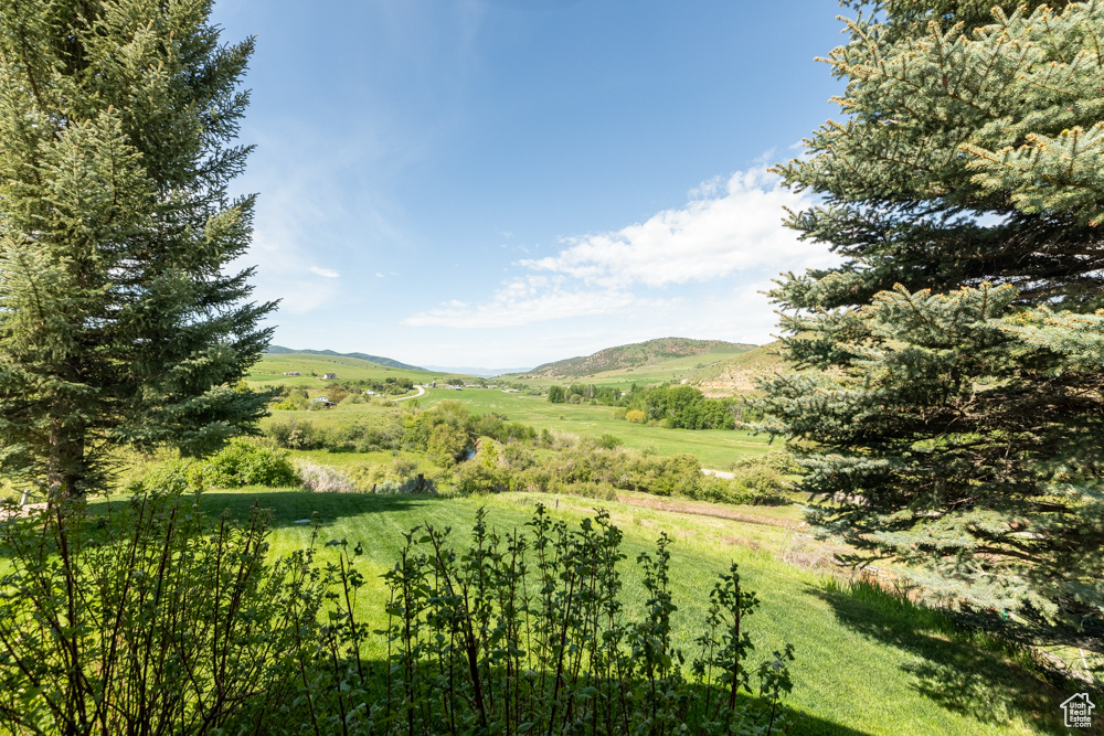 view from back porch