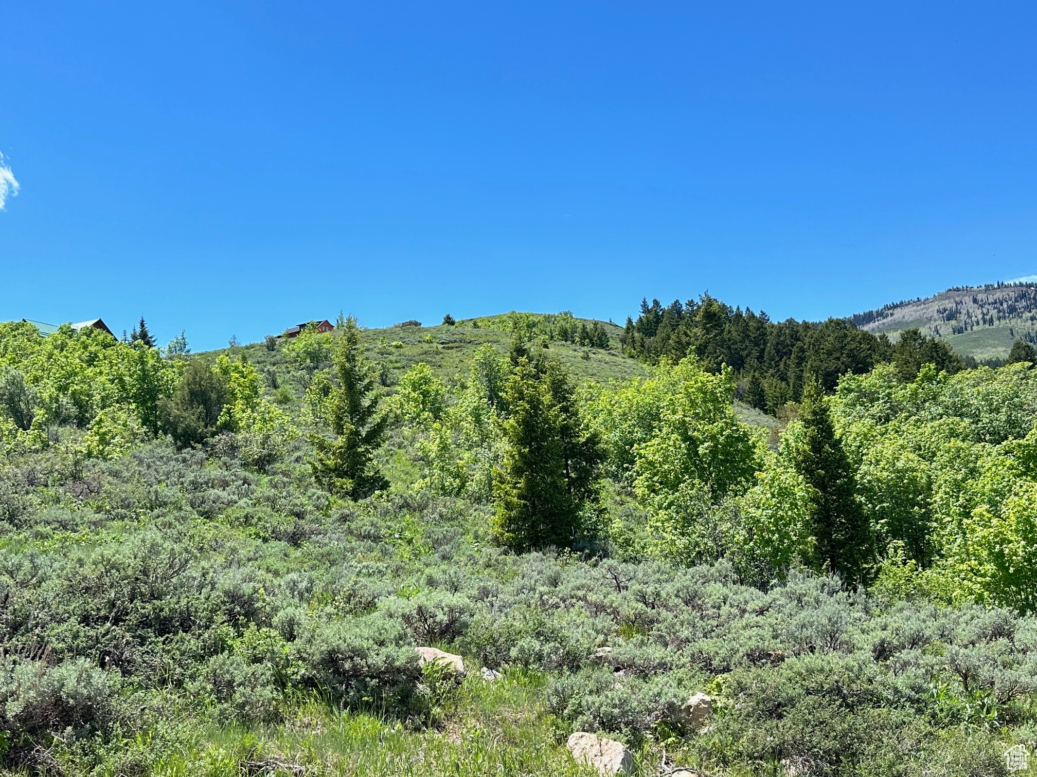 425 HICKOCK #310, Fish Haven, Idaho 83287, ,Land,For sale,HICKOCK,1993707