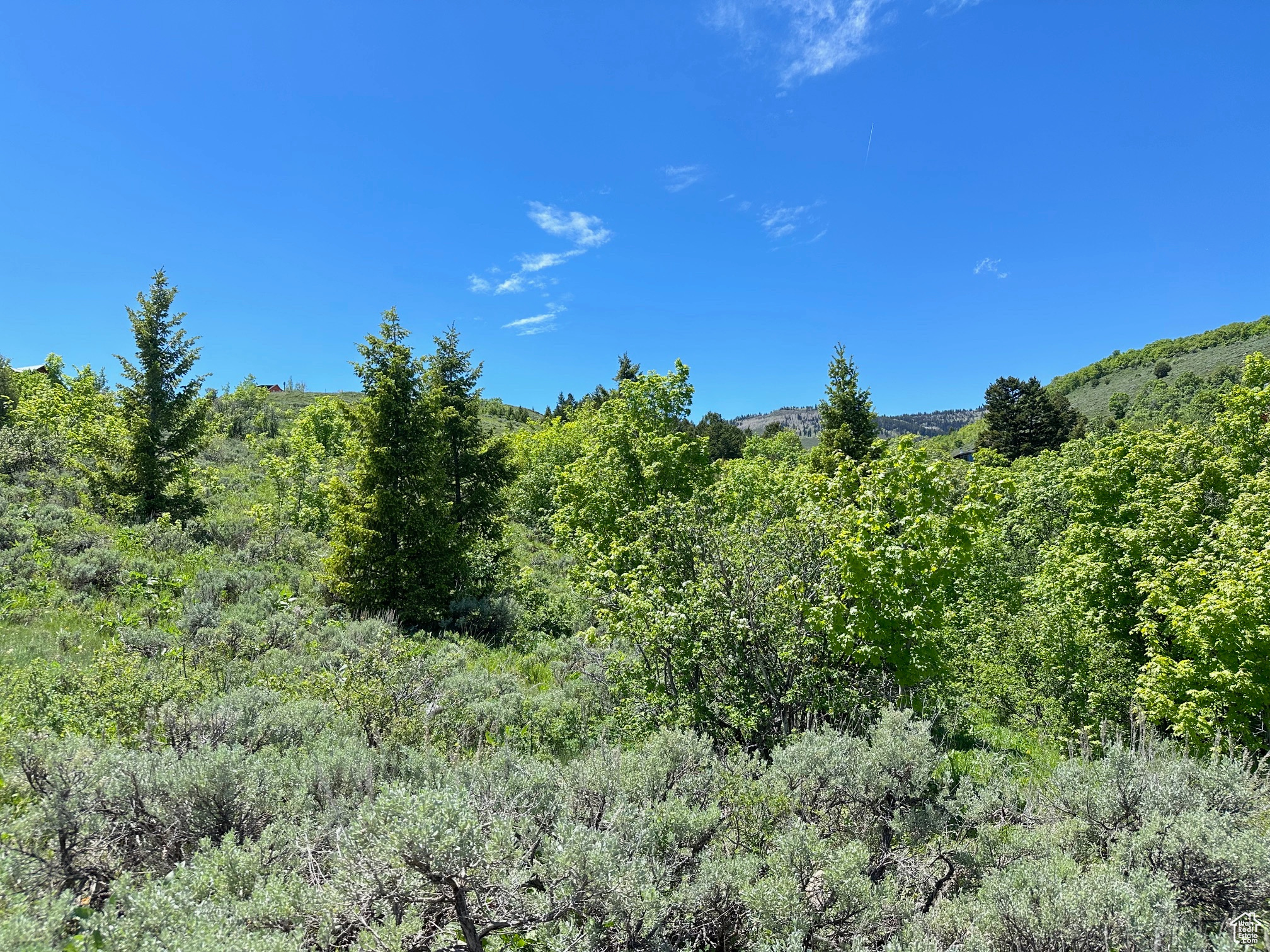 425 HICKOCK #310, Fish Haven, Idaho 83287, ,Land,For sale,HICKOCK,1993707