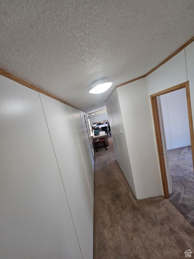 Corridor with ornamental molding, carpet, and a textured ceiling