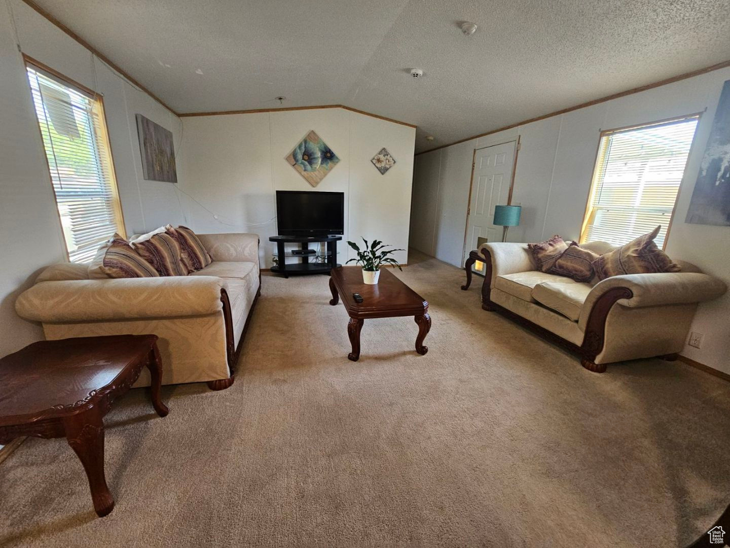 Carpeted living room with a textured ceiling, lofted ceiling, and a healthy amount of sunlight