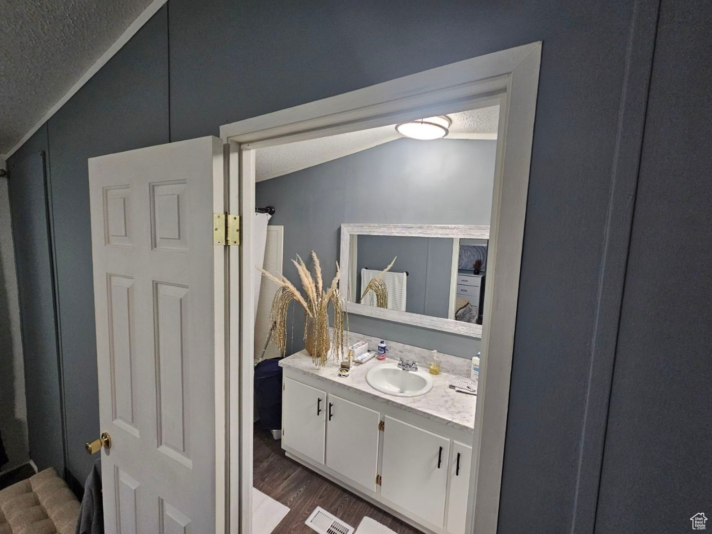 Bathroom with hardwood / wood-style flooring, vaulted ceiling, and vanity