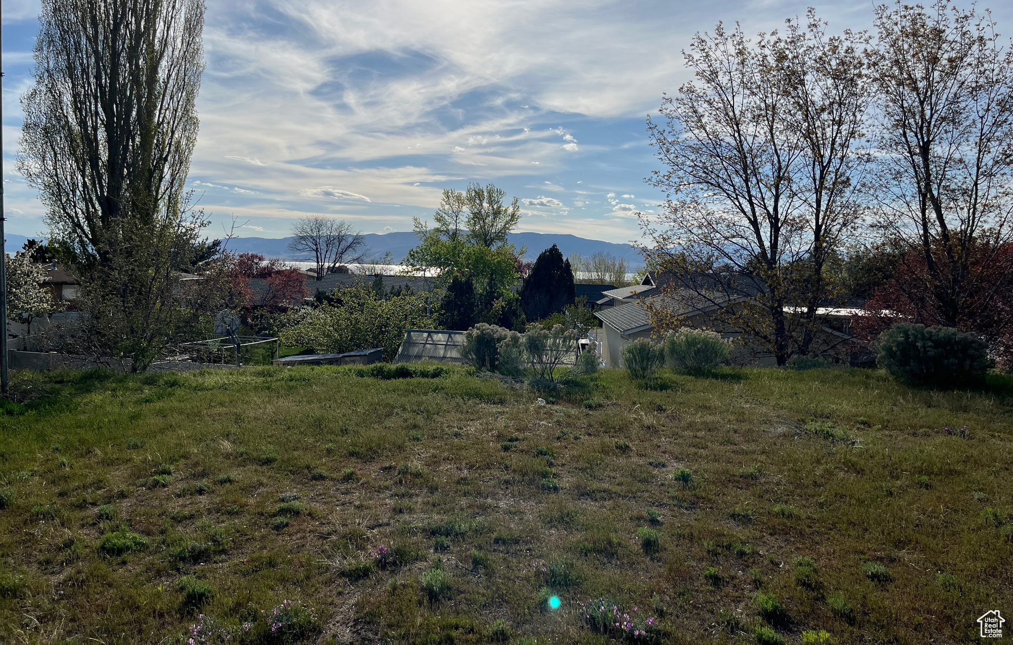 View from the back of the lot looking West. Shows elevation level change from back of lot to the homes behind.