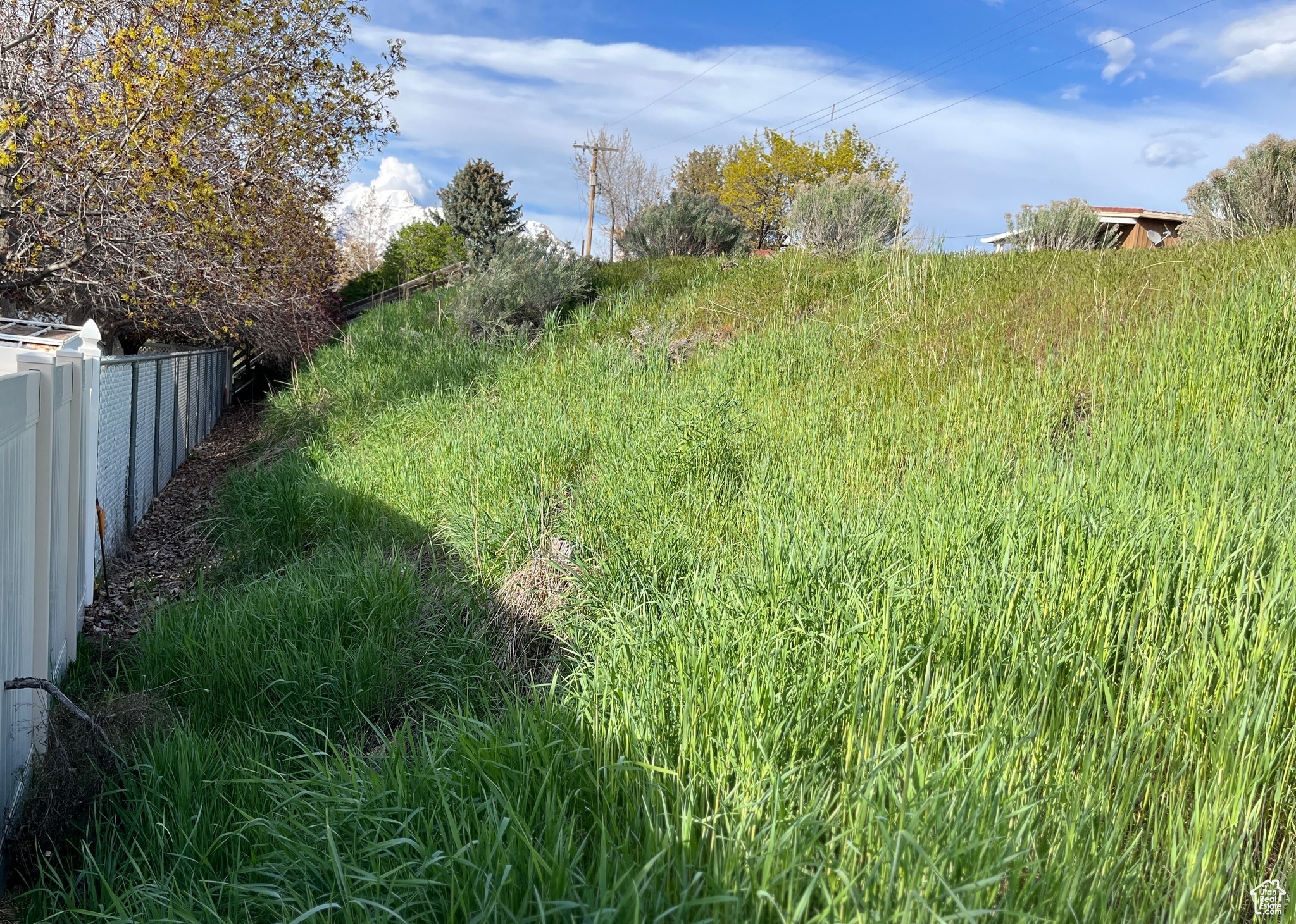 View showing the back of the lot where it slopes down.