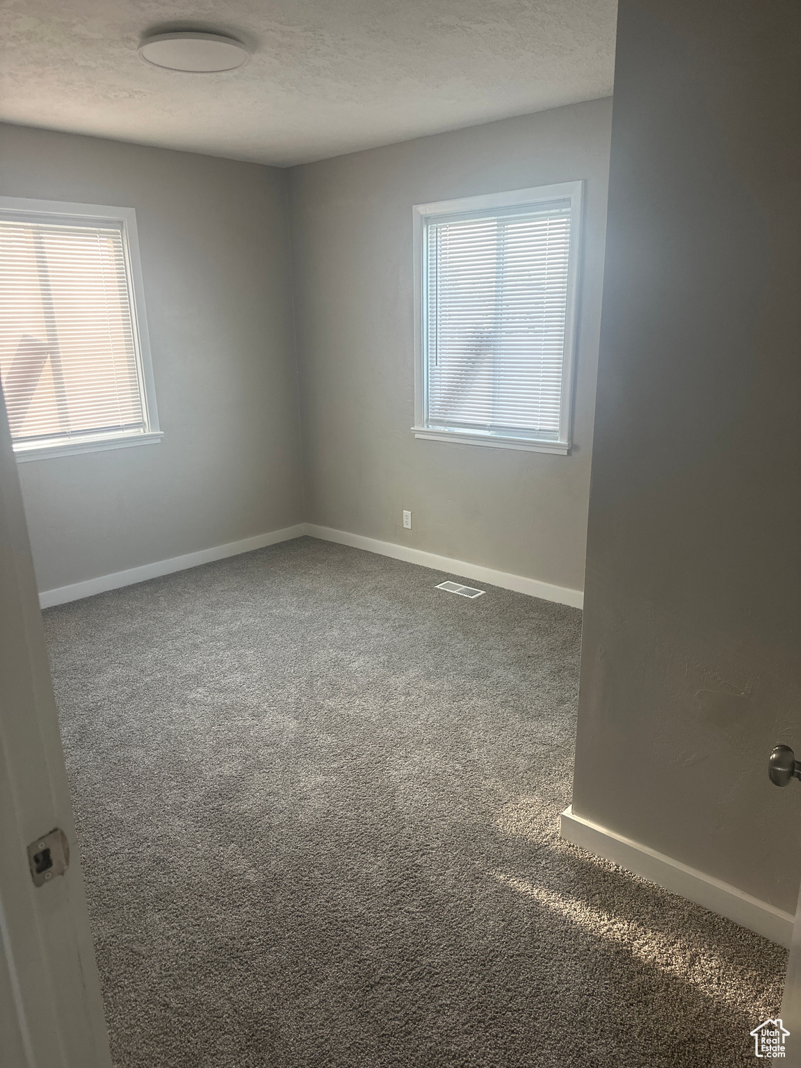 Carpeted spare room featuring a healthy amount of sunlight