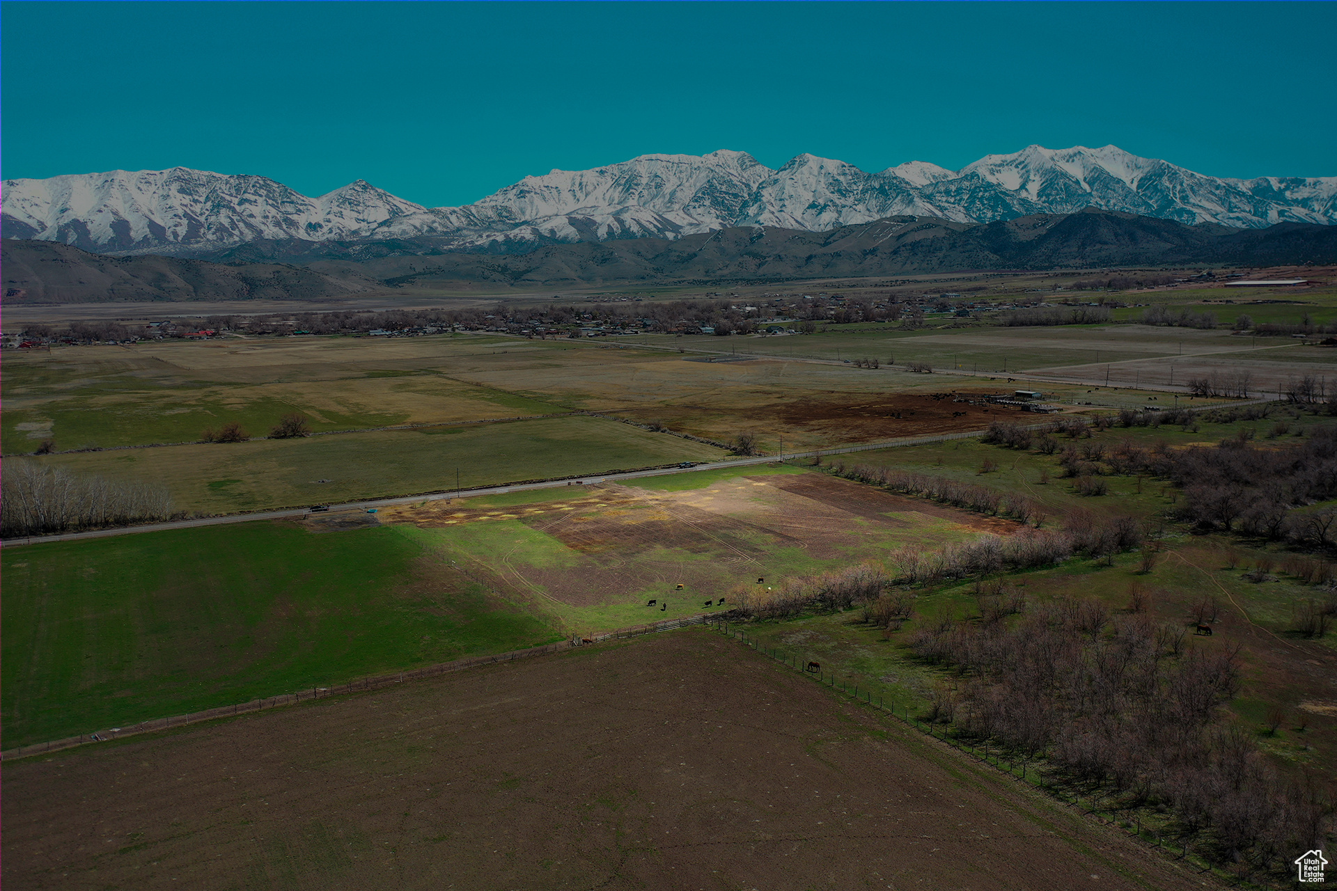 Goshen, Utah 84633, ,Land,For sale,1993958