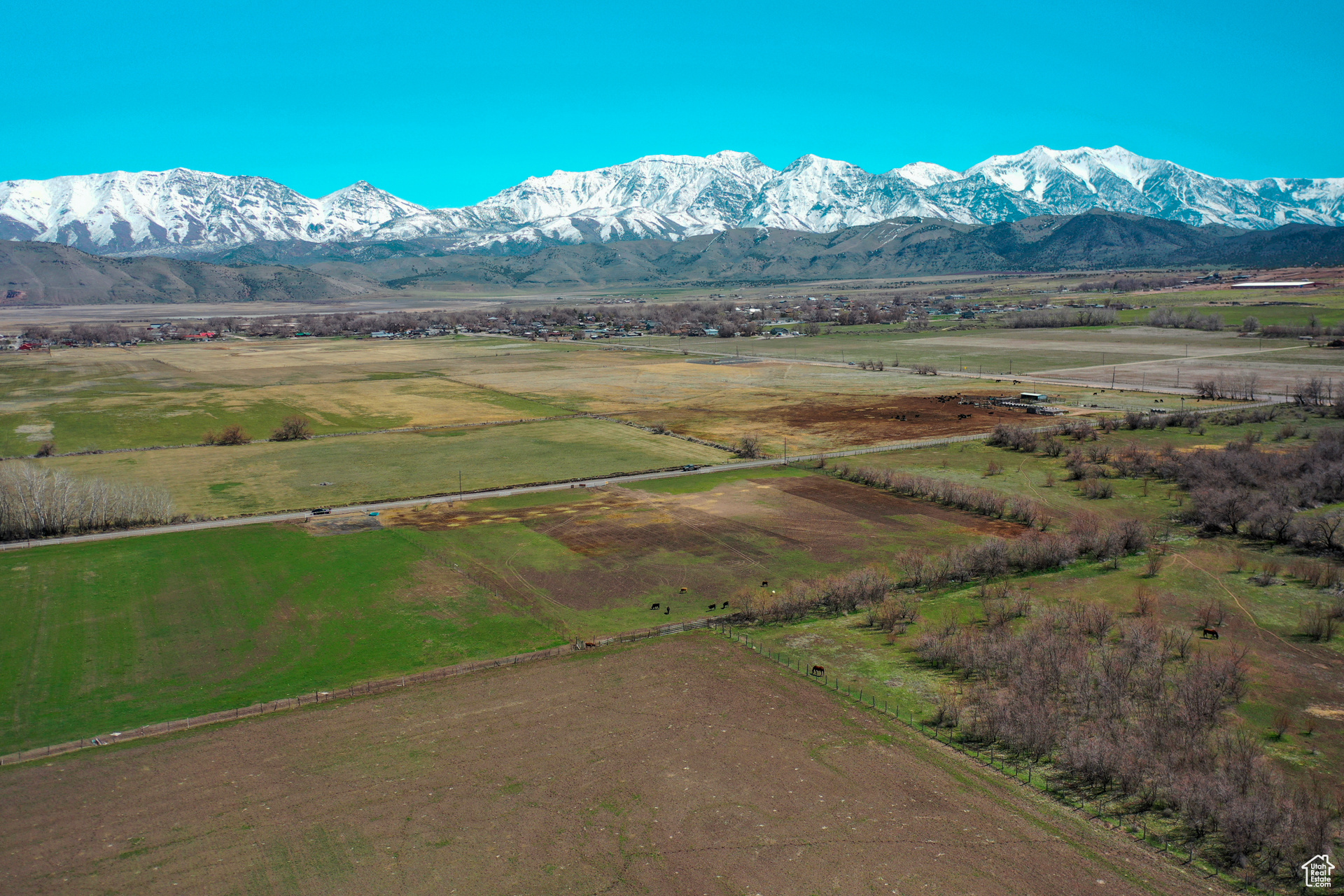 Goshen, Utah 84633, ,Land,For sale,1993958