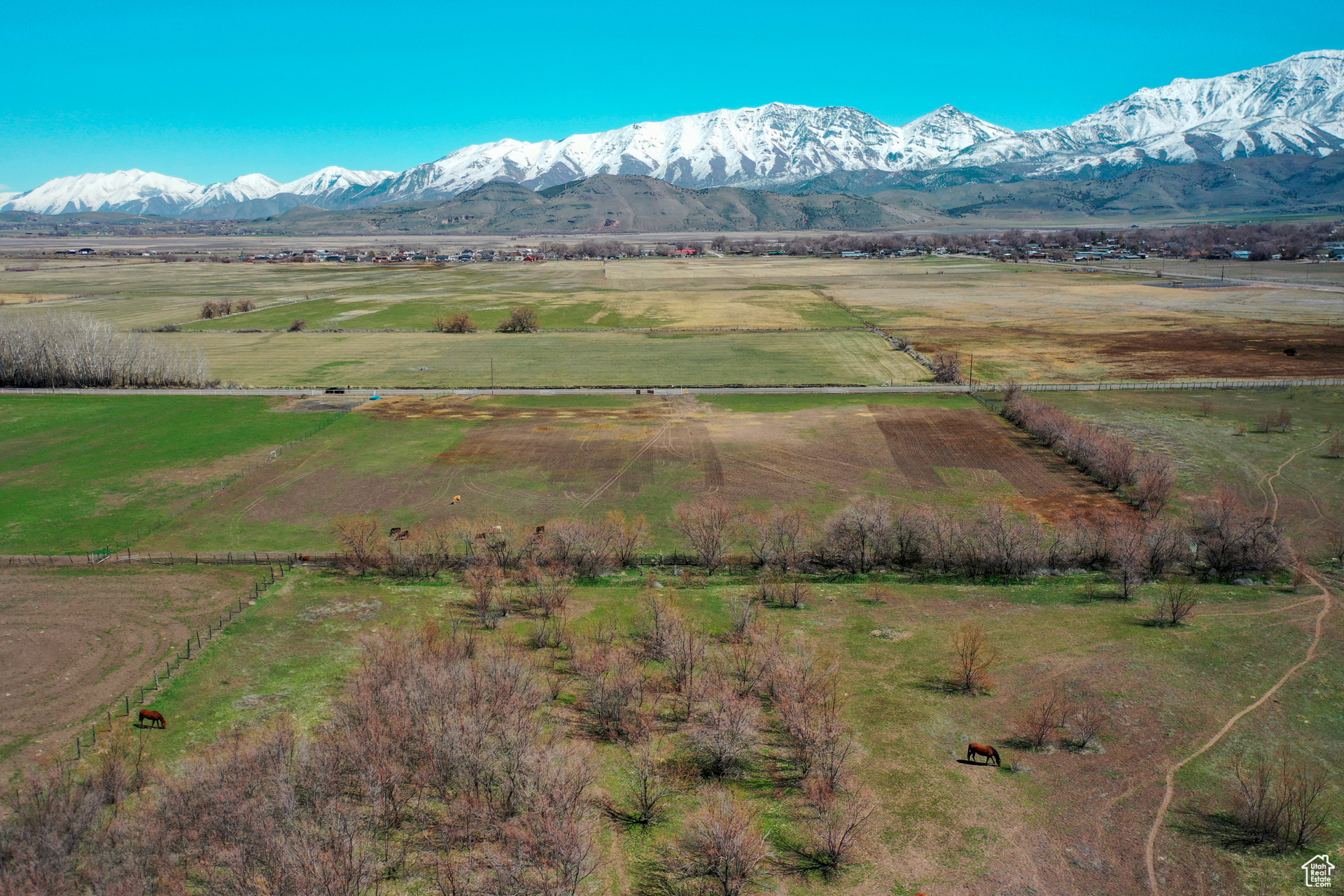 Goshen, Utah 84633, ,Land,For sale,1993958