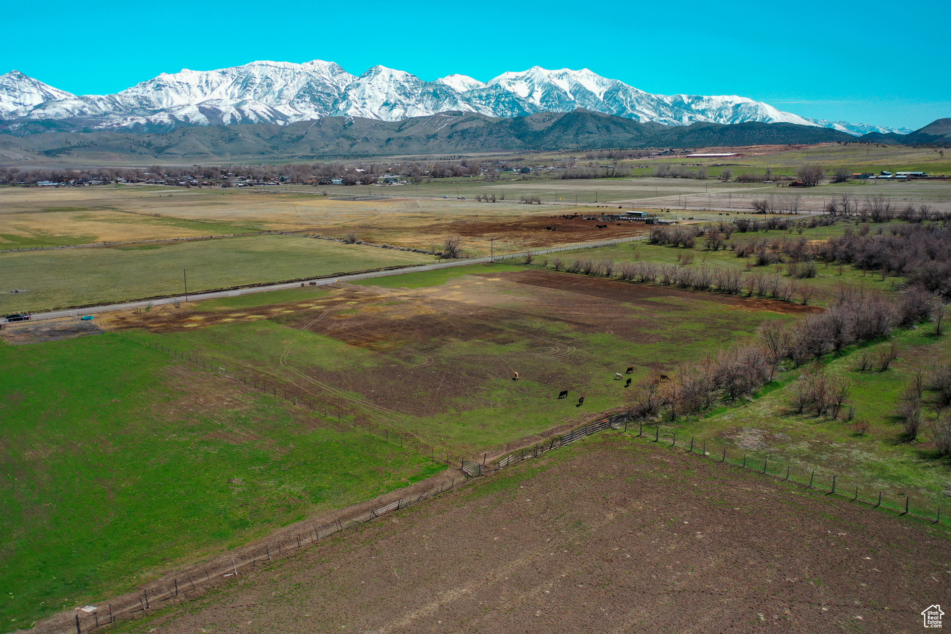 Goshen, Utah 84633, ,Land,For sale,1993958