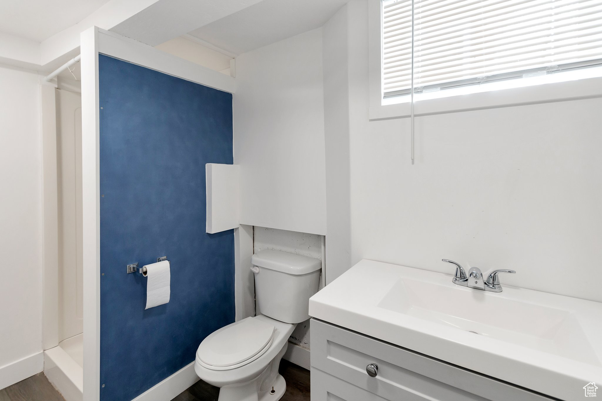 Bathroom featuring wood-type flooring, shower, vanity, and toilet