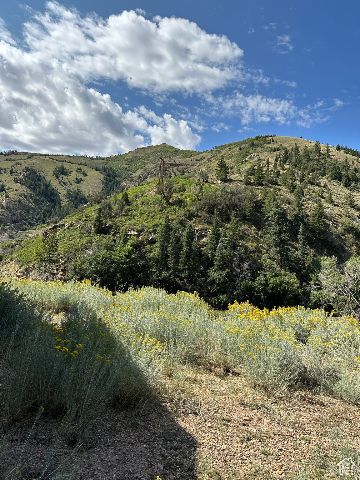 View of mountain view