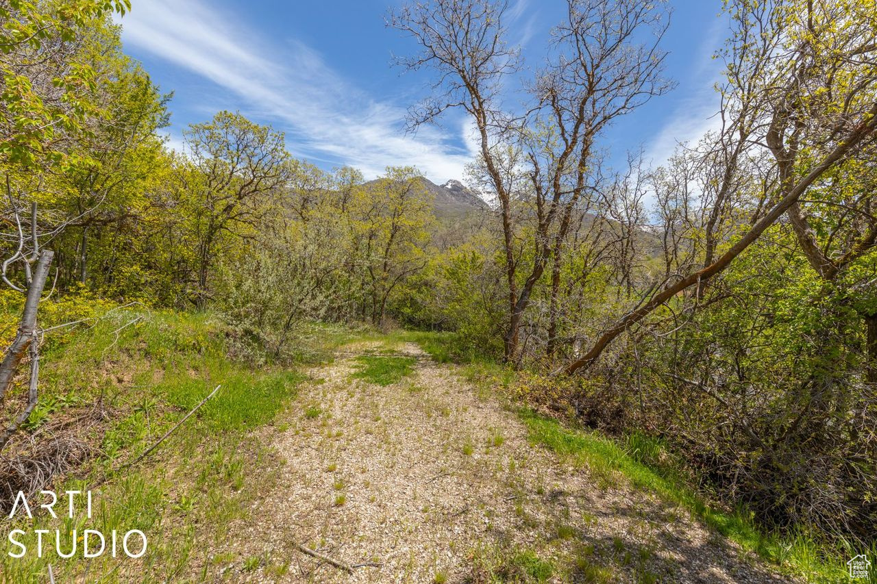 2100 E COMBE, South Ogden, Utah 84403, ,Land,For sale,COMBE,1994118