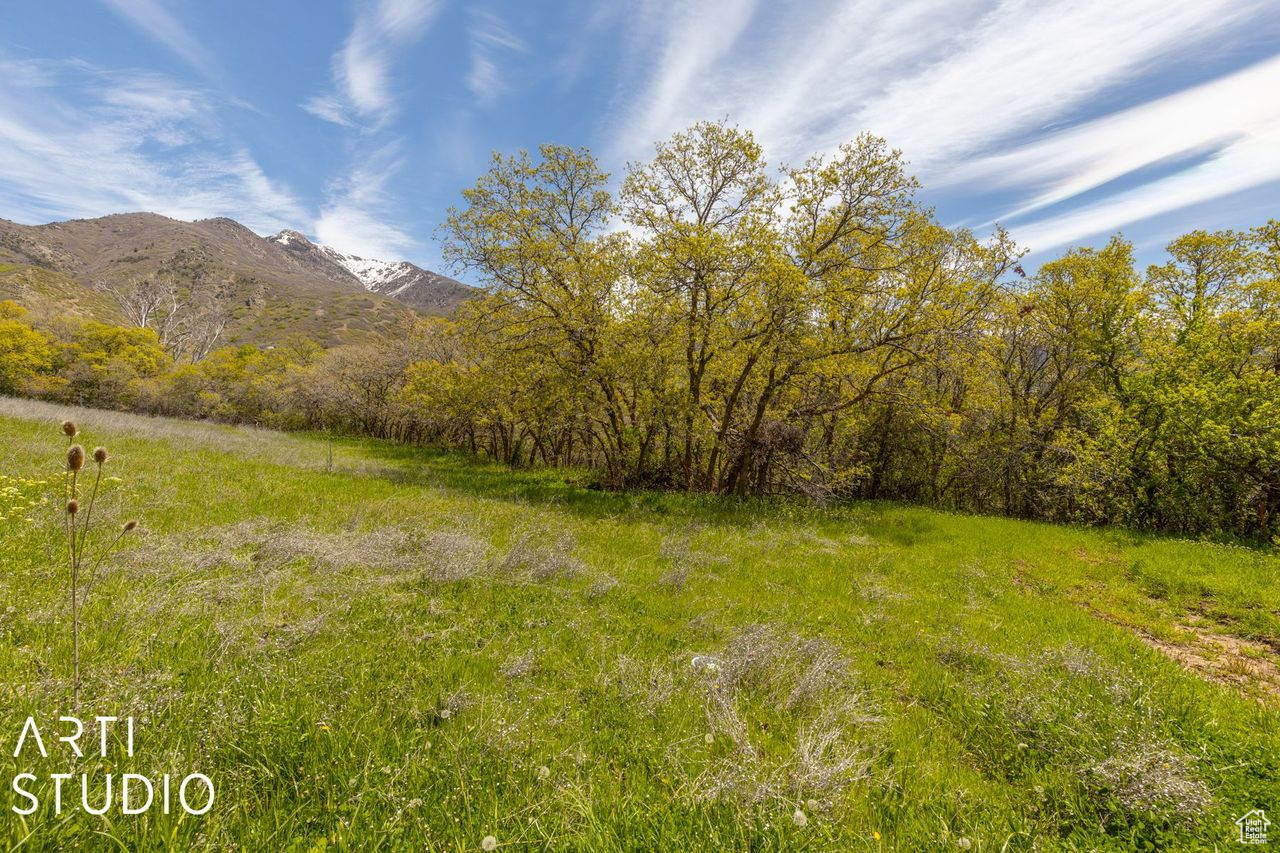 2100 E COMBE, South Ogden, Utah 84403, ,Land,For sale,COMBE,1994118