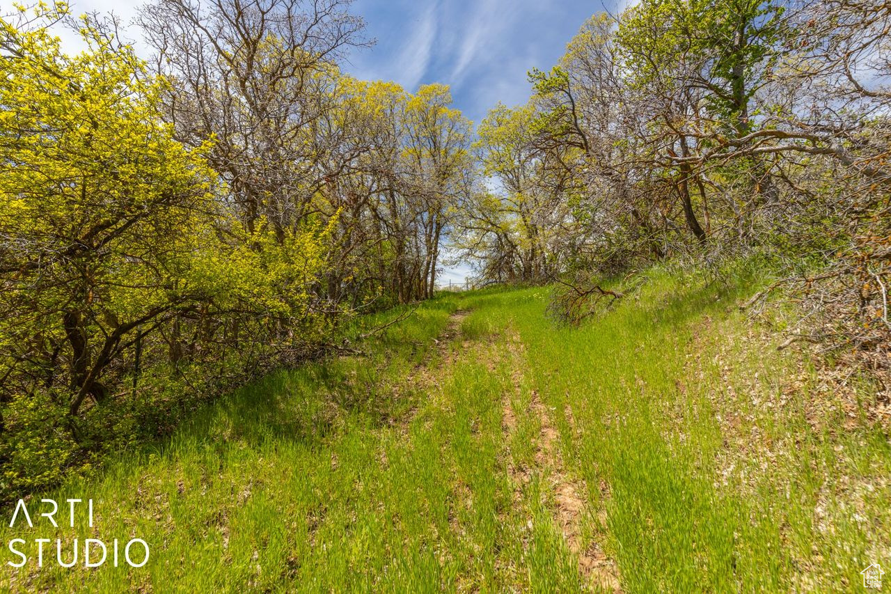 2100 E COMBE, South Ogden, Utah 84403, ,Land,For sale,COMBE,1994118