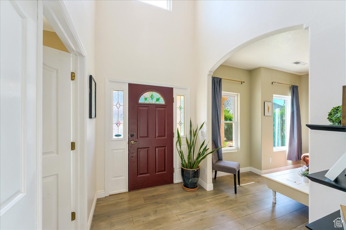Foyer with wood-type flooring and a wealth of natural light
