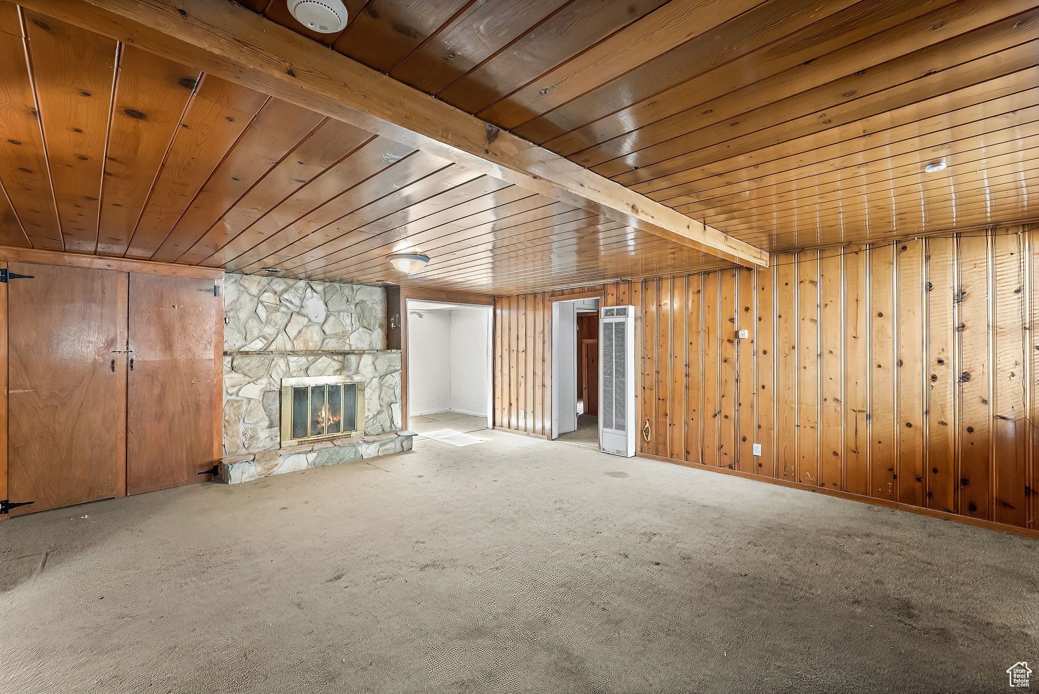 Living Room and Fireplace