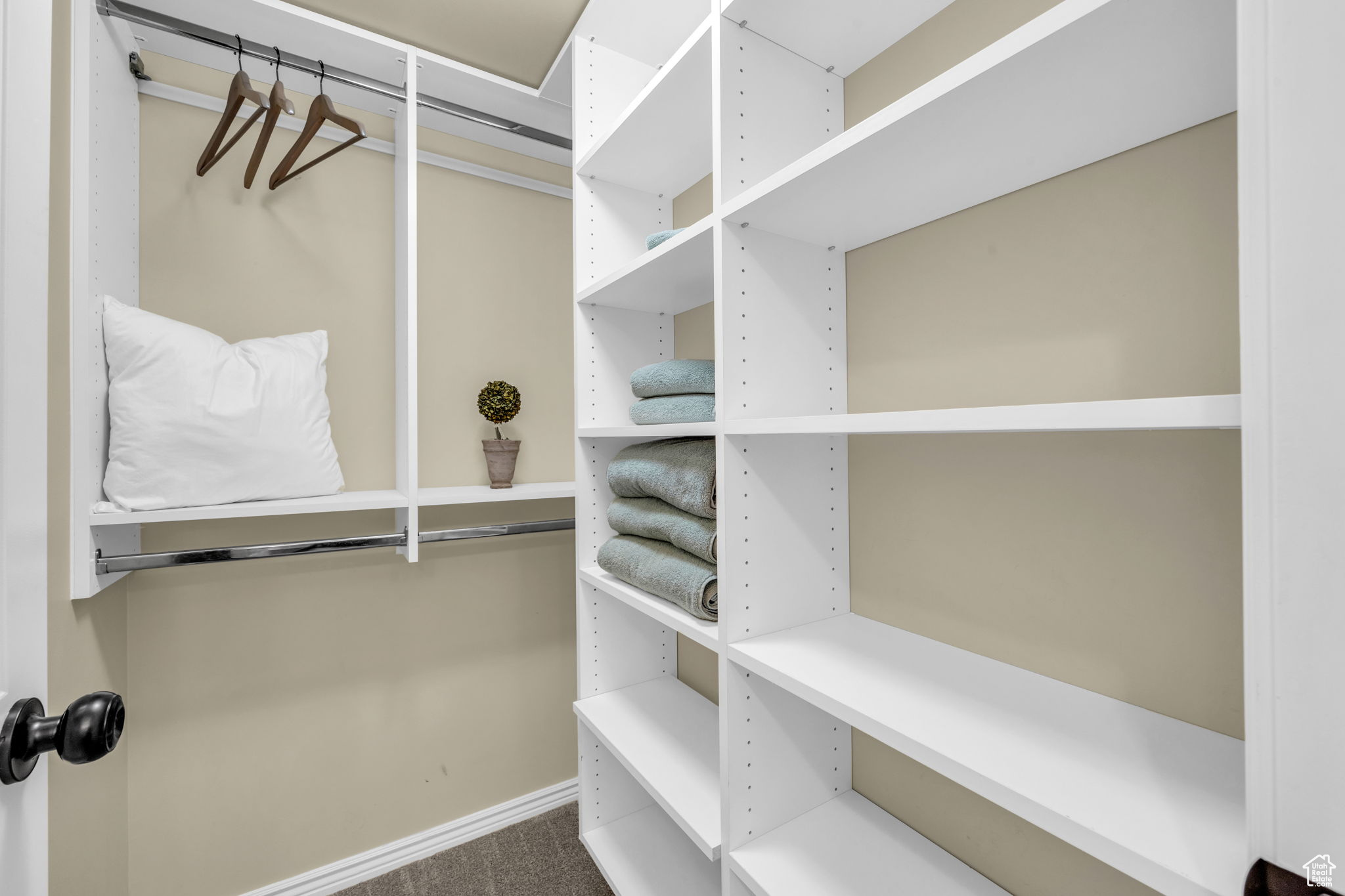 Walk in closet featuring full closet organizer shelves and hanging rods