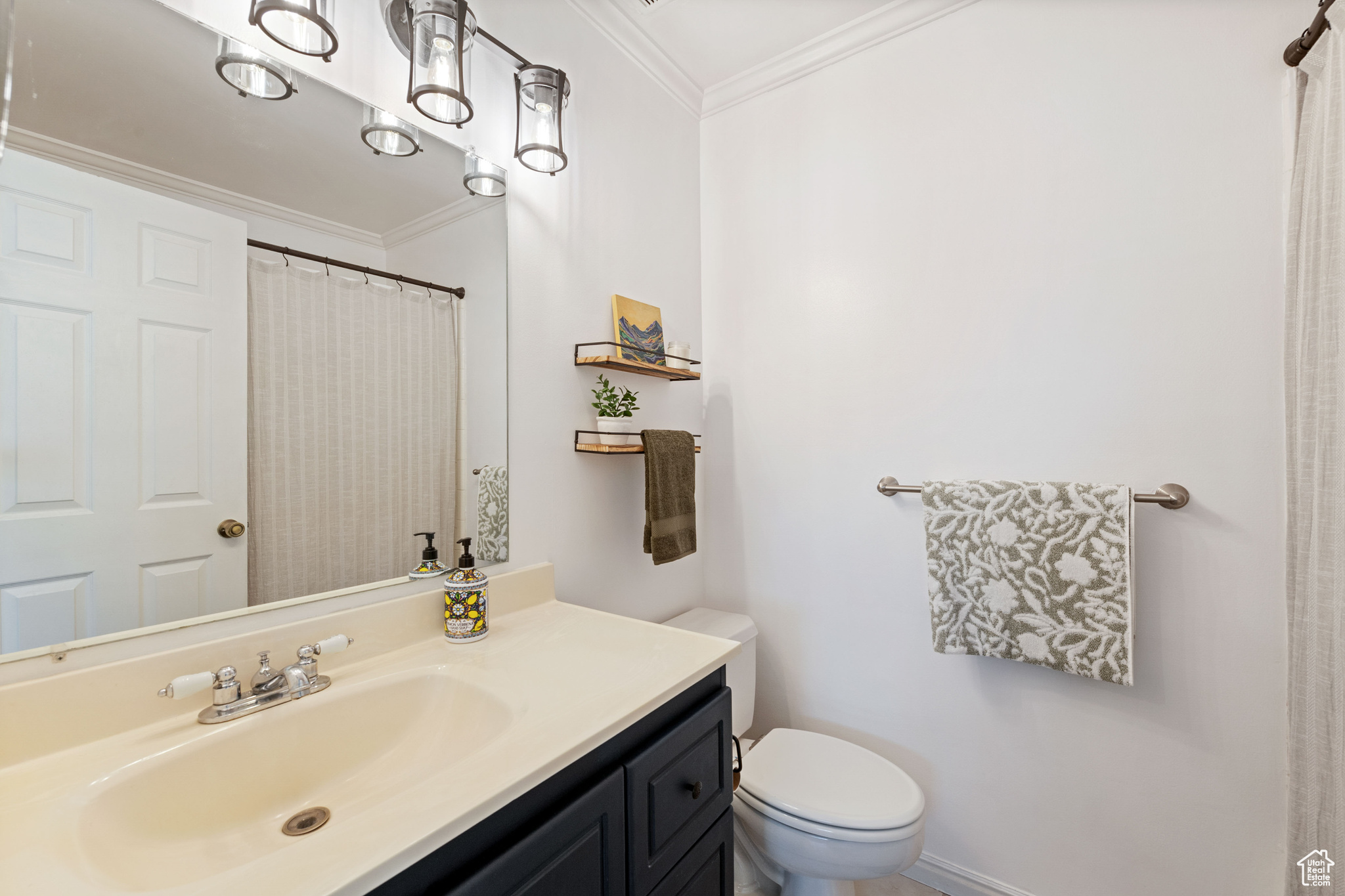 Bathroom with vanity with extensive cabinet space, crown molding, and toilet