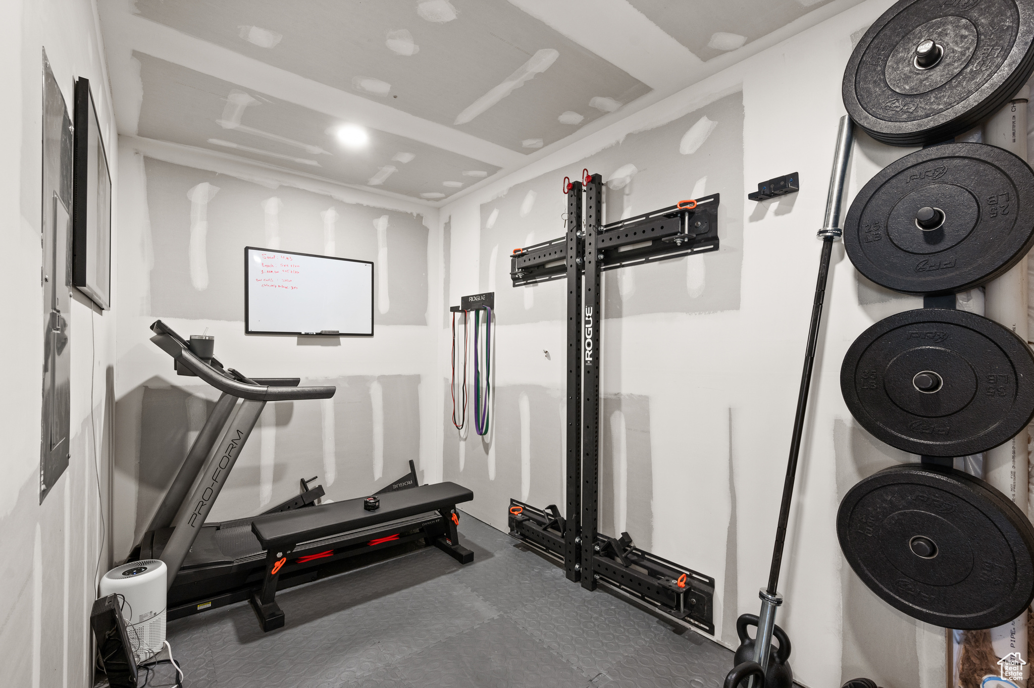 Storage area in basement converted into gym