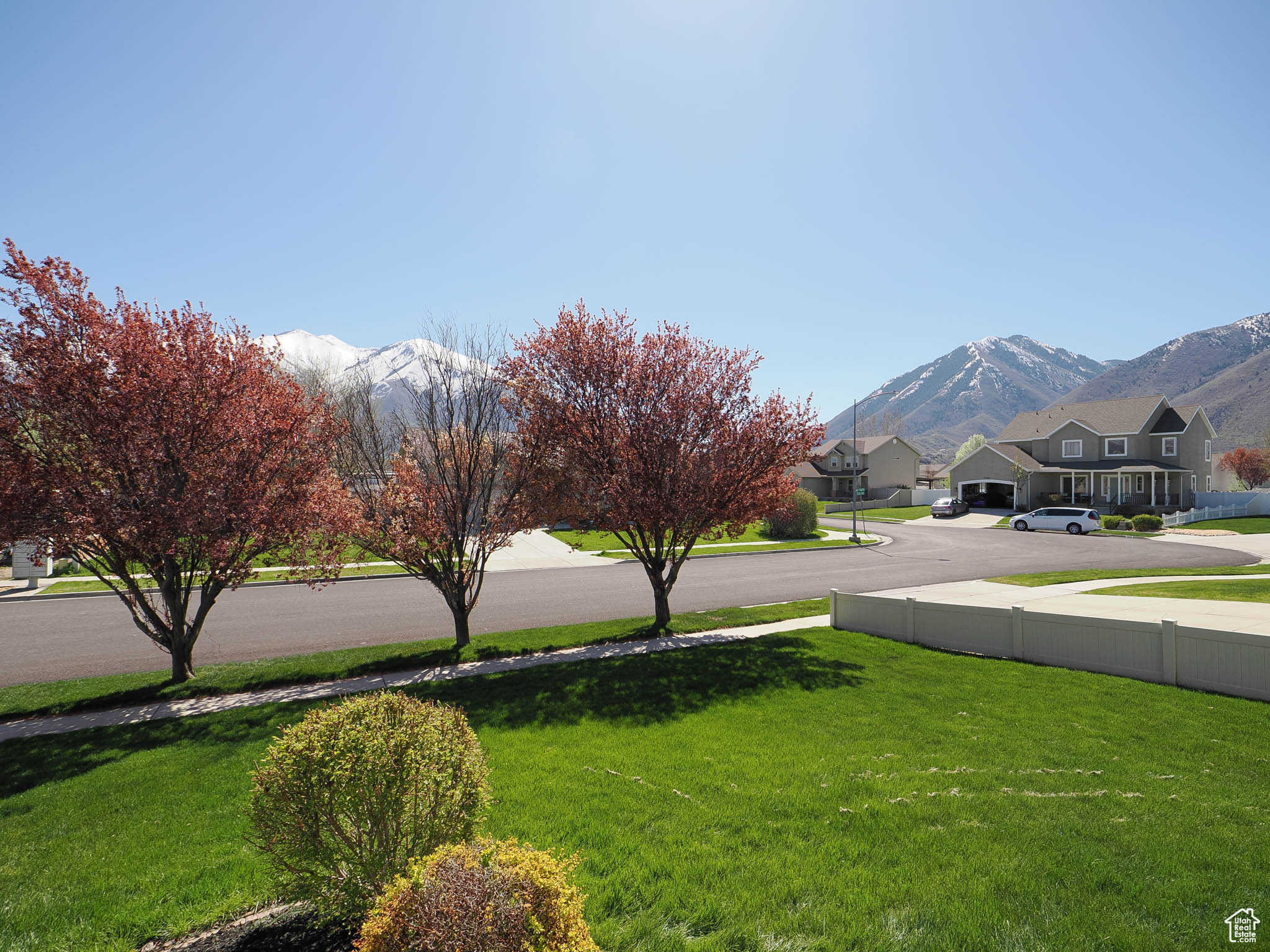 View of yard with a mountain view and flowering trees