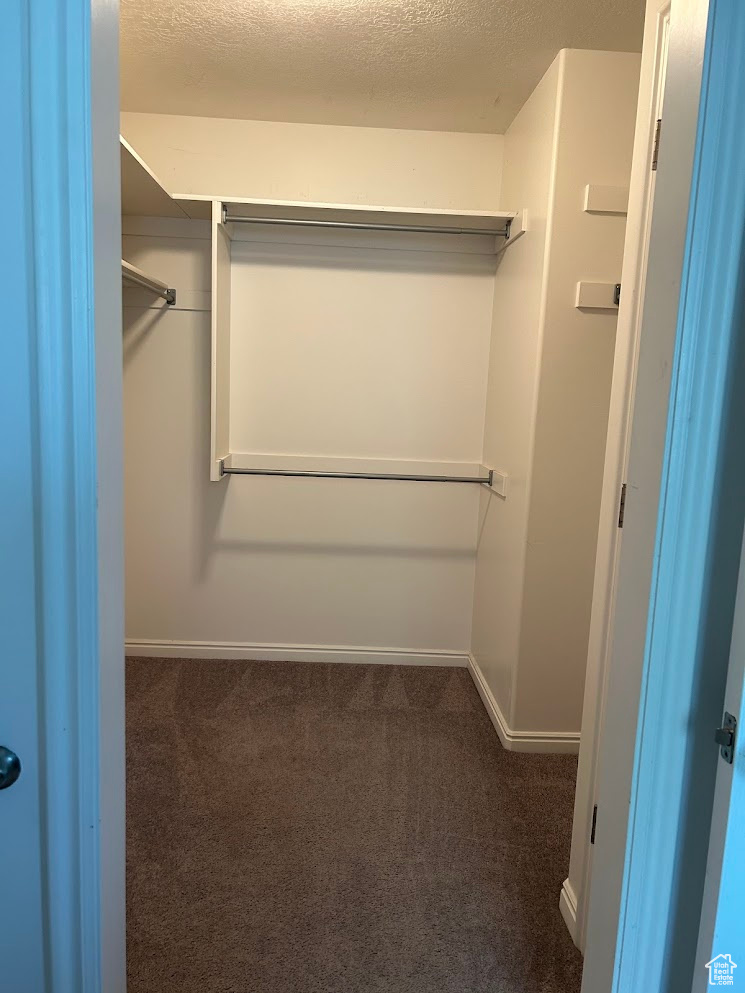 Spacious closet with dark carpet