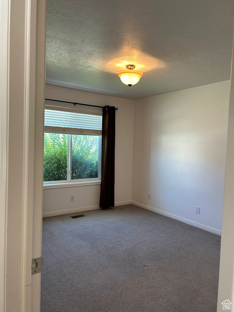 Carpeted spare room featuring a textured ceiling