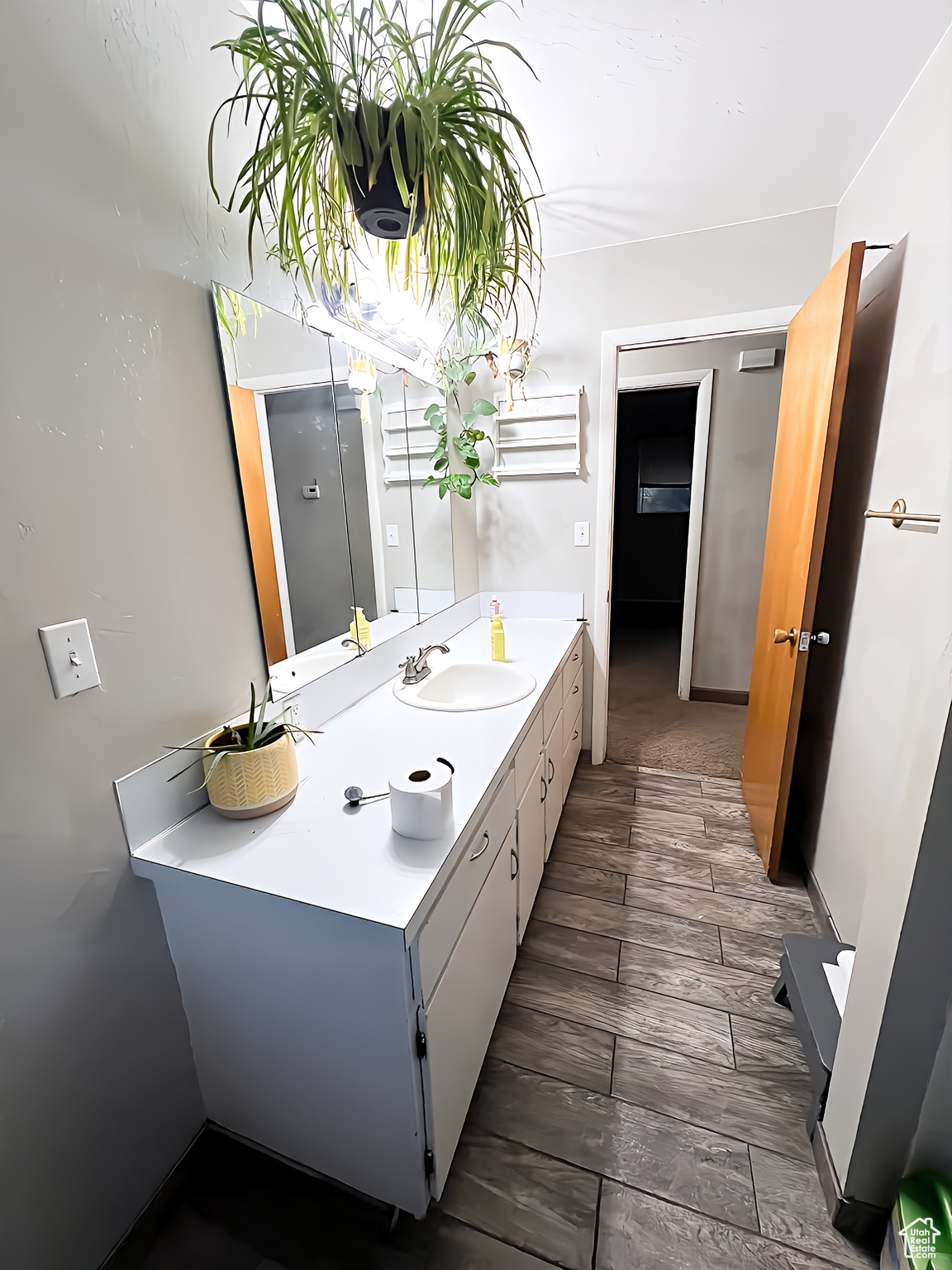 Bathroom with wood-type flooring and vanity