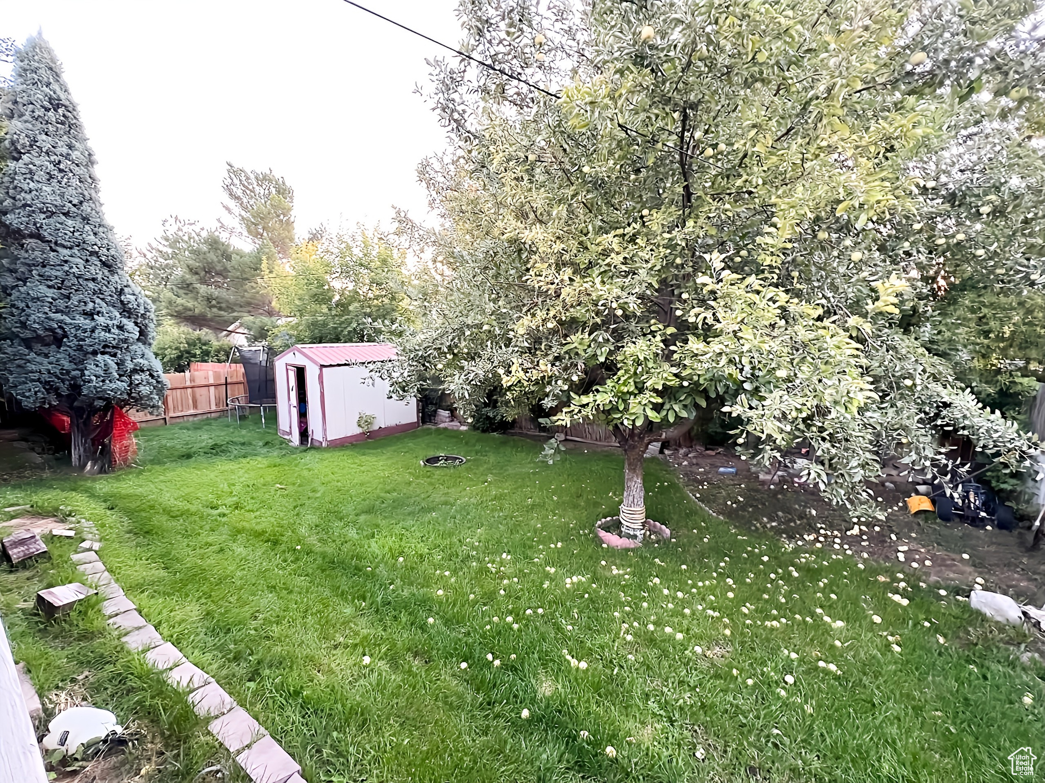 View of yard with a storage unit