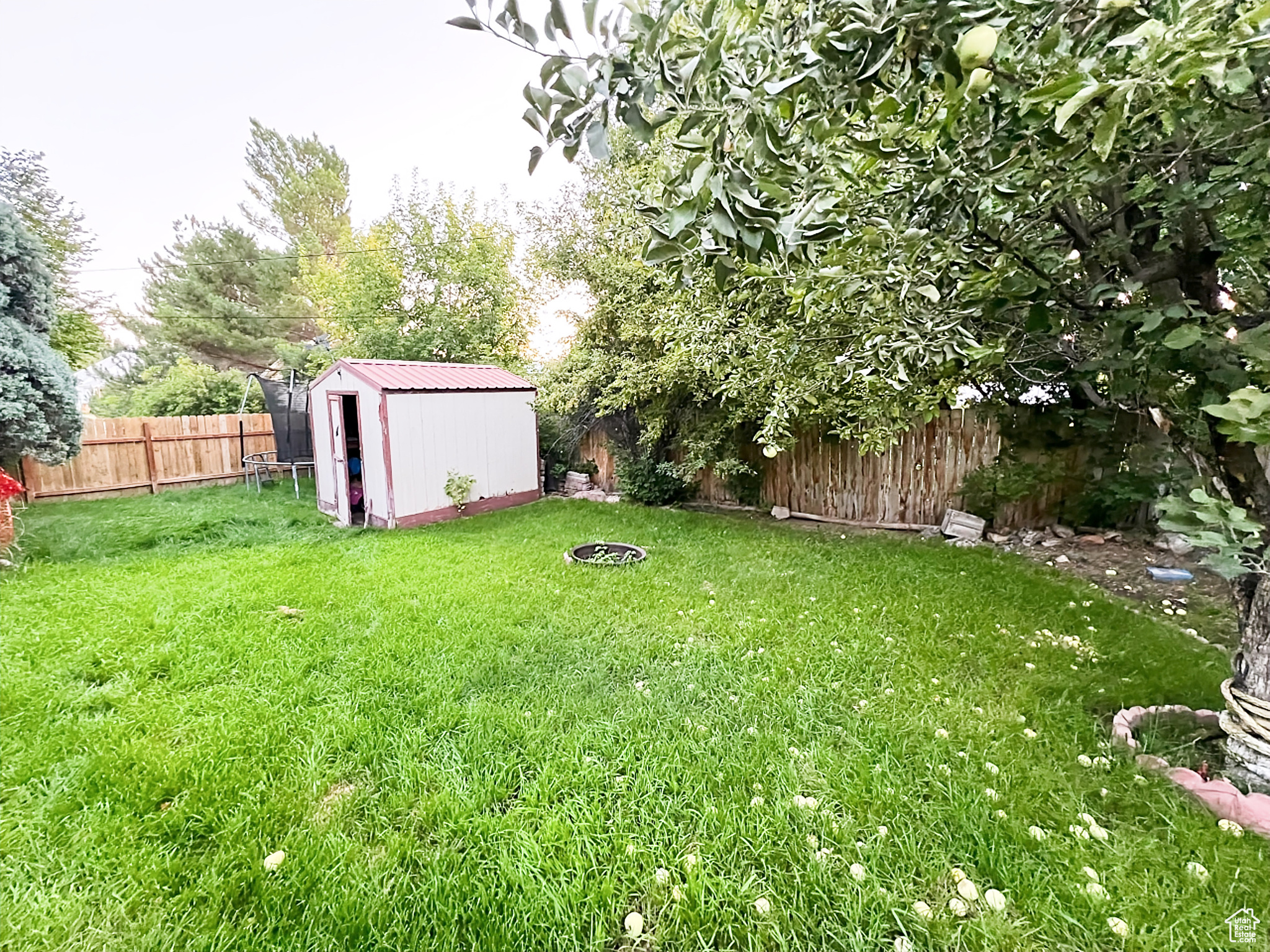 View of yard featuring a shed