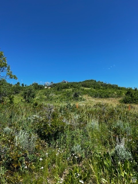 8 E FOREST MEADOW N #FMA8, Coalville, Utah 84017, ,Land,For sale,FOREST MEADOW,1995114