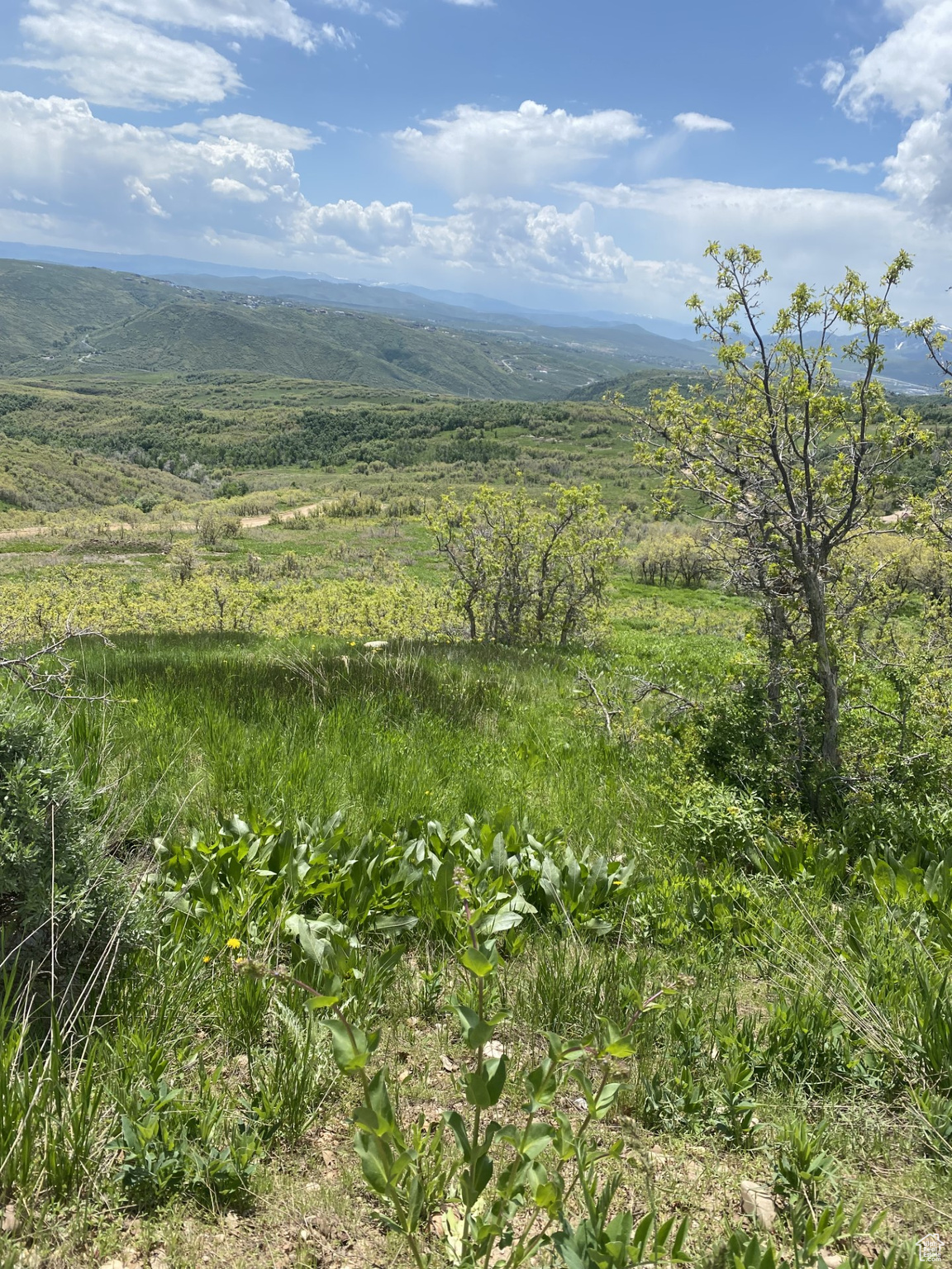 8 E FOREST MEADOW N #FMA8, Coalville, Utah 84017, ,Land,For sale,FOREST MEADOW,1995114