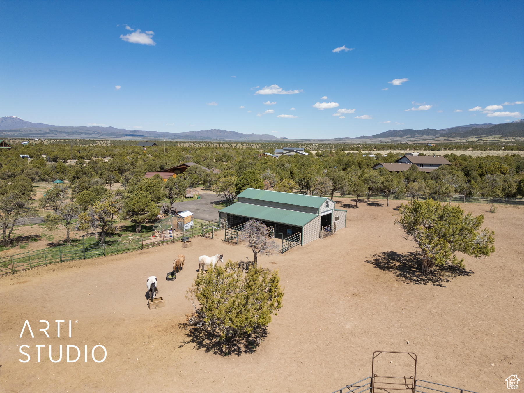 Barn and Horse area