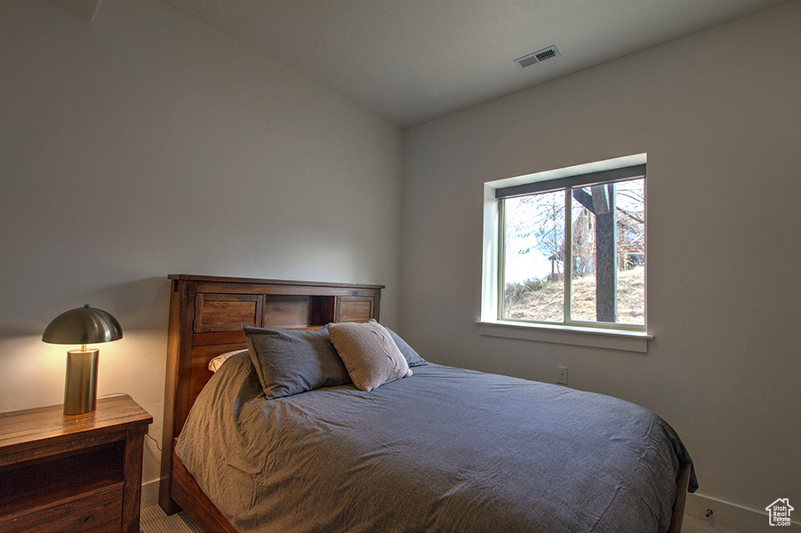 Lower level bedroom