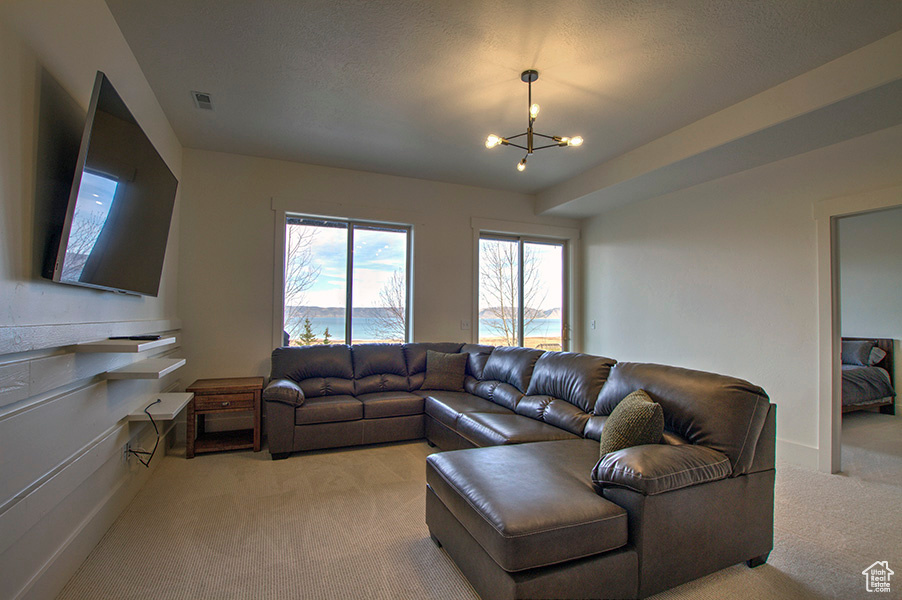 Lower level living room/TV area.