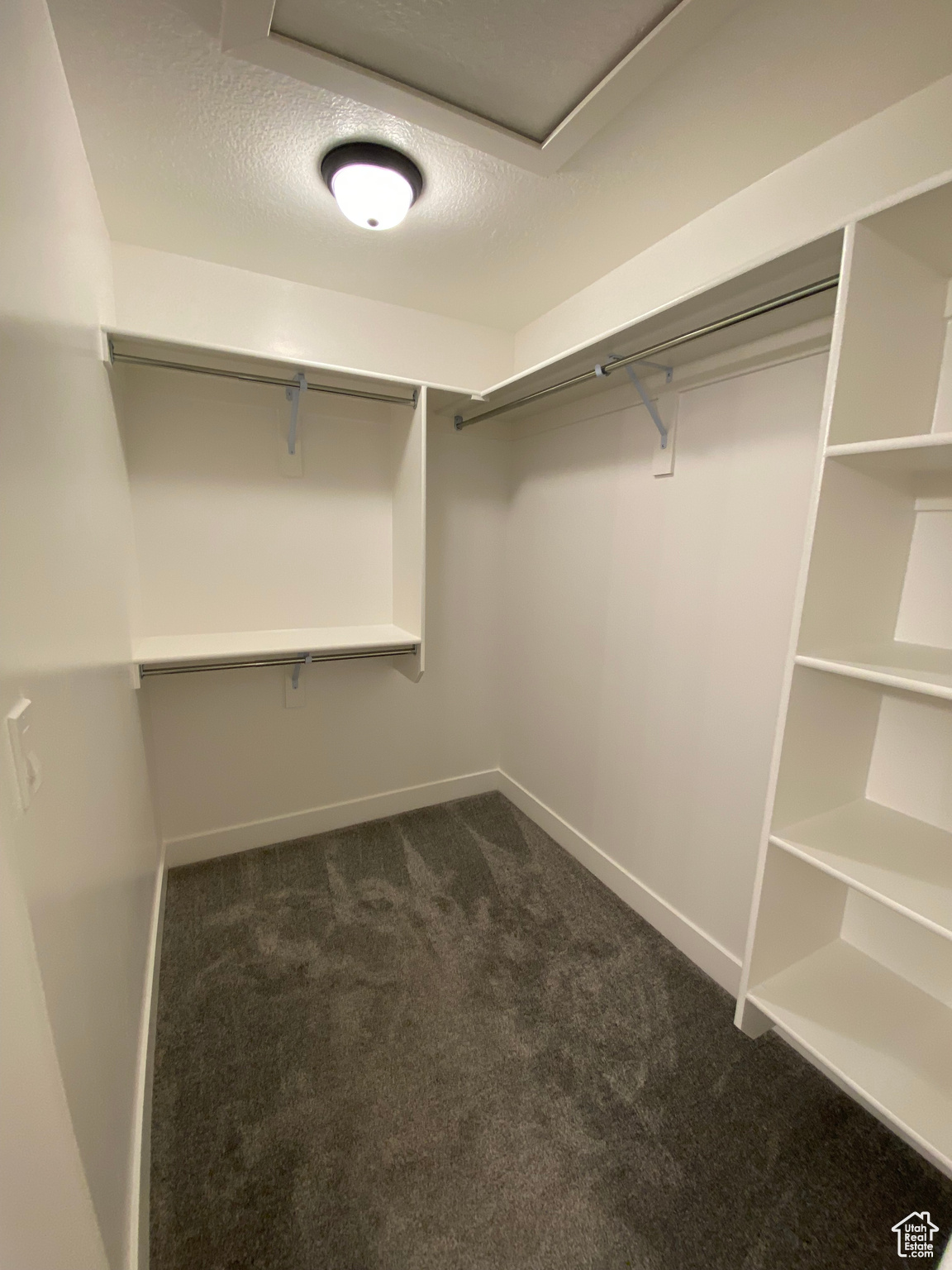 Spacious closet featuring dark colored carpet
