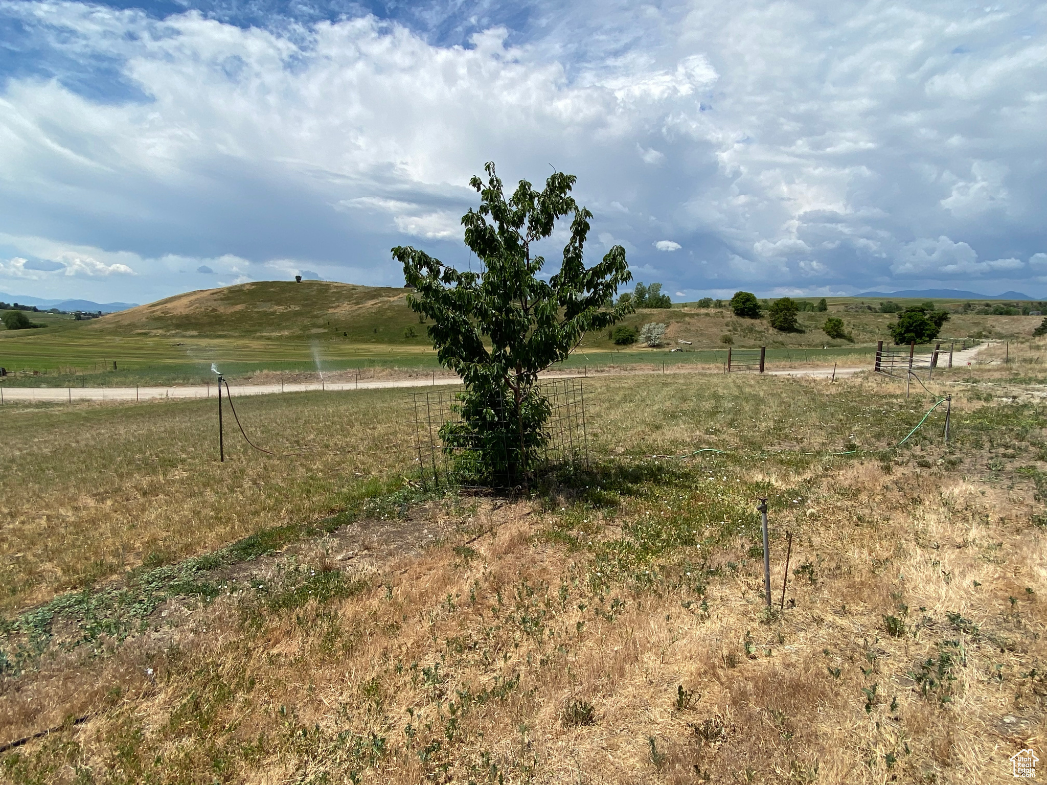 501 N 2800 E, Preston, Idaho 83263, ,Land,For sale,2800,1995336