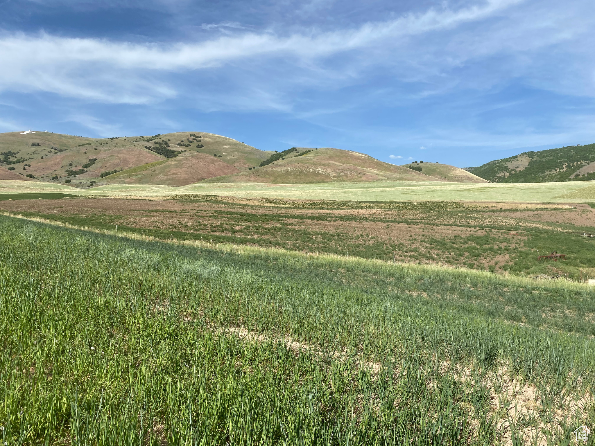 501 N 2800 E, Preston, Idaho 83263, ,Land,For sale,2800,1995336