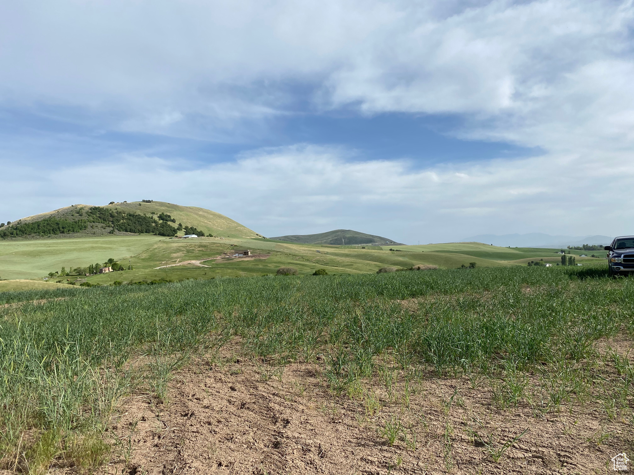 501 N 2800 E, Preston, Idaho 83263, ,Land,For sale,2800,1995336