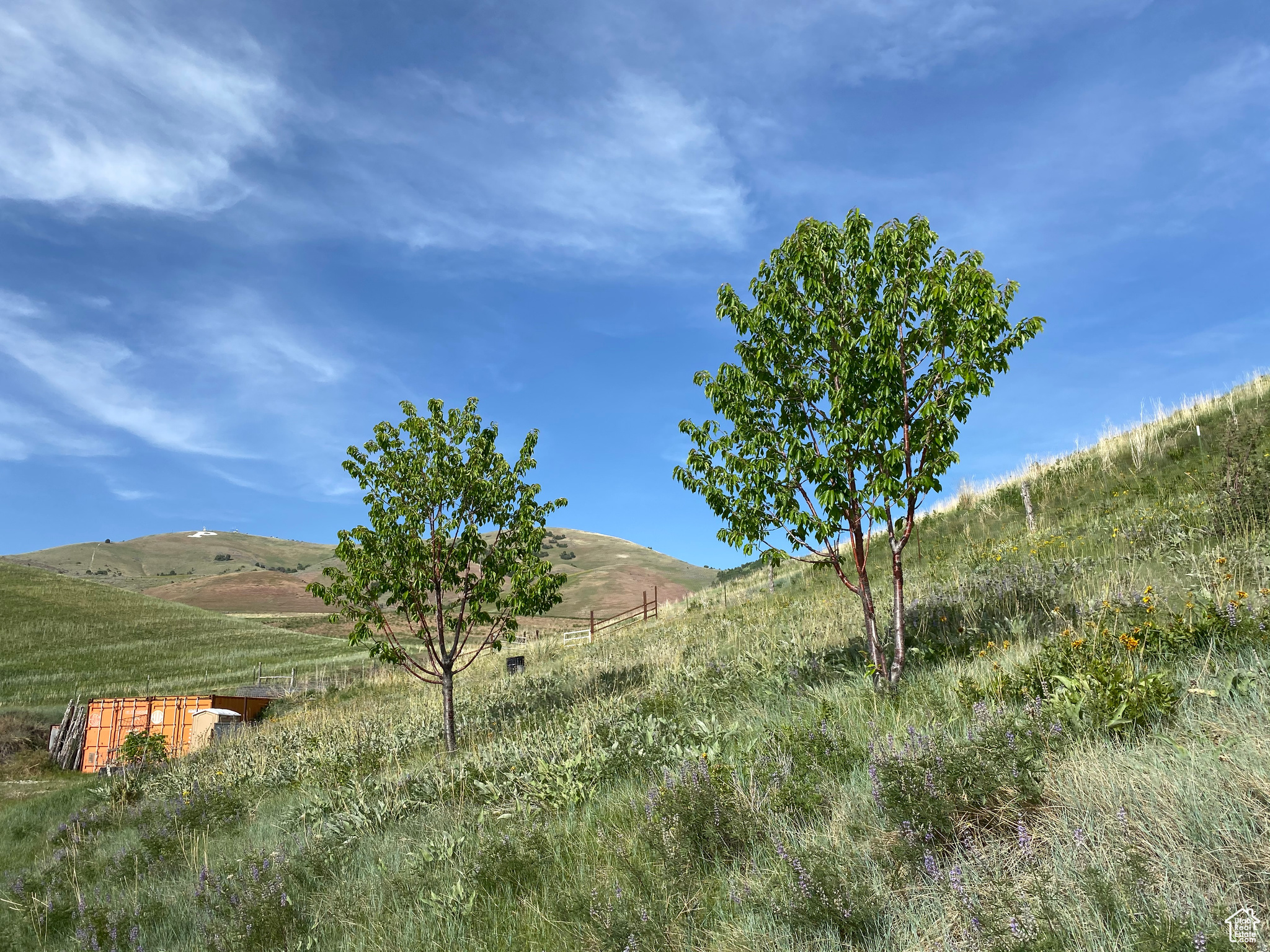 501 N 2800 E, Preston, Idaho 83263, ,Land,For sale,2800,1995336