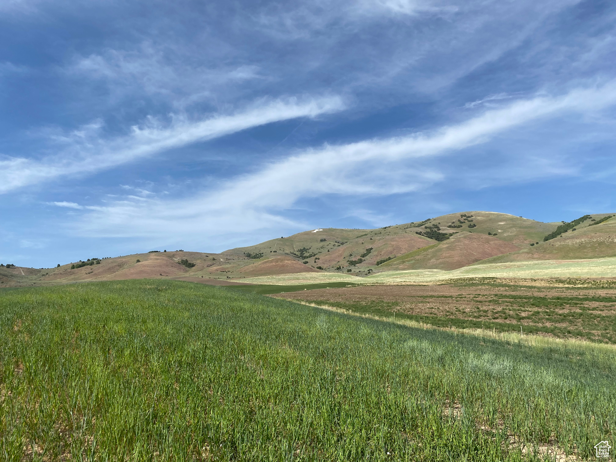 501 N 2800 E, Preston, Idaho 83263, ,Land,For sale,2800,1995336