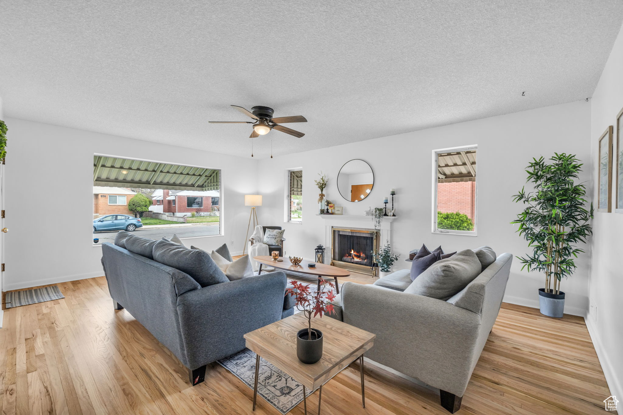 Living room featuring a healthy amount of sunlight, a textured ceiling, ceiling fan, and light hardwood / wood-style floors