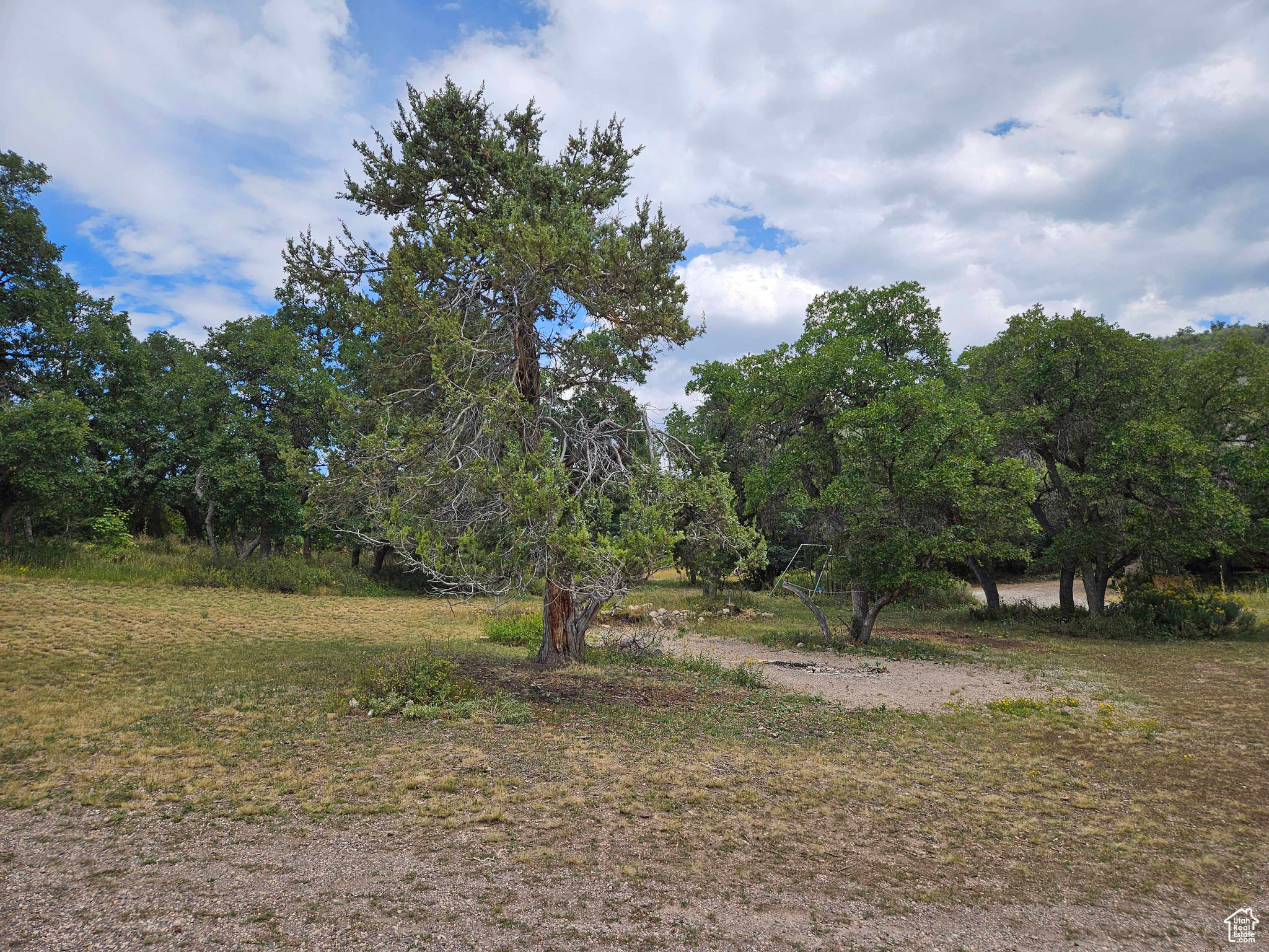 30 N JUNIPER E #M30, Fairview, Utah 84629, ,Land,For sale,JUNIPER,1995452