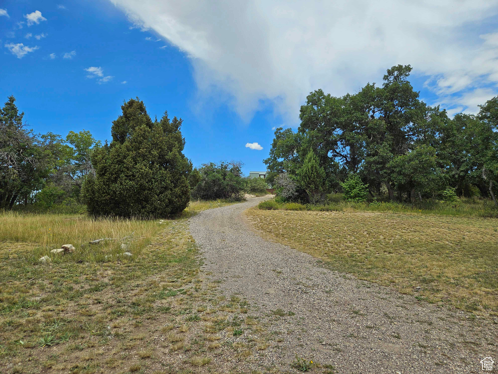 30 N JUNIPER E #M30, Fairview, Utah 84629, ,Land,For sale,JUNIPER,1995452