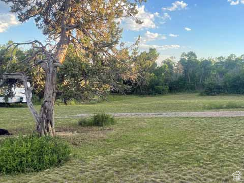 30 N JUNIPER E #M30, Fairview, Utah 84629, ,Land,For sale,JUNIPER,1995452