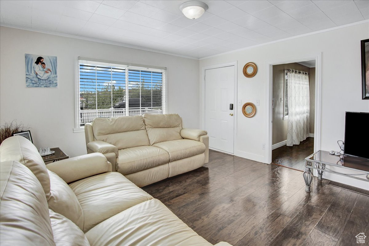 Living room featuring dark hardwood / wood-style flooring and crown molding